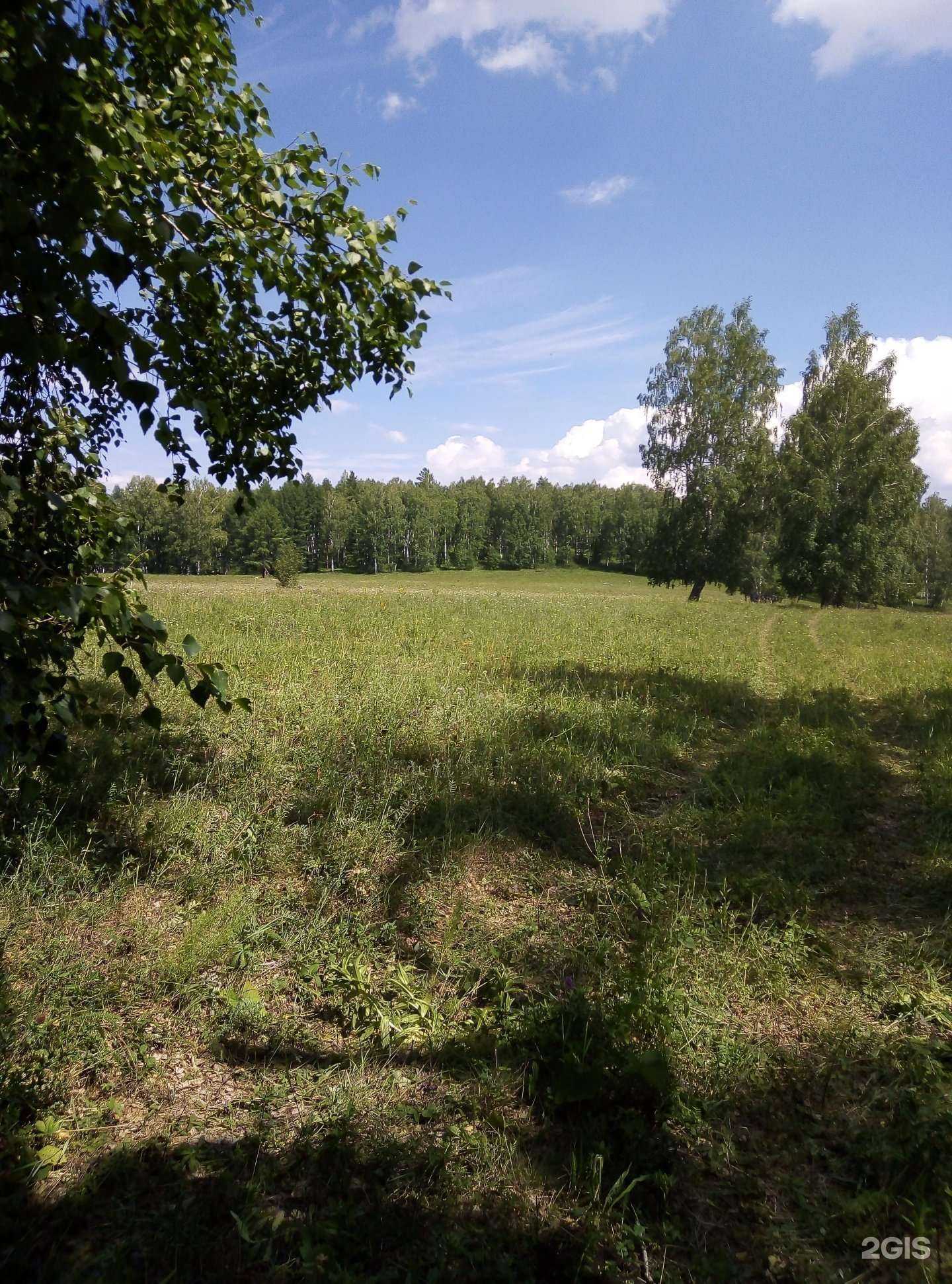 Отзывы на компанию Дружба в г. Магнитогорск c фото