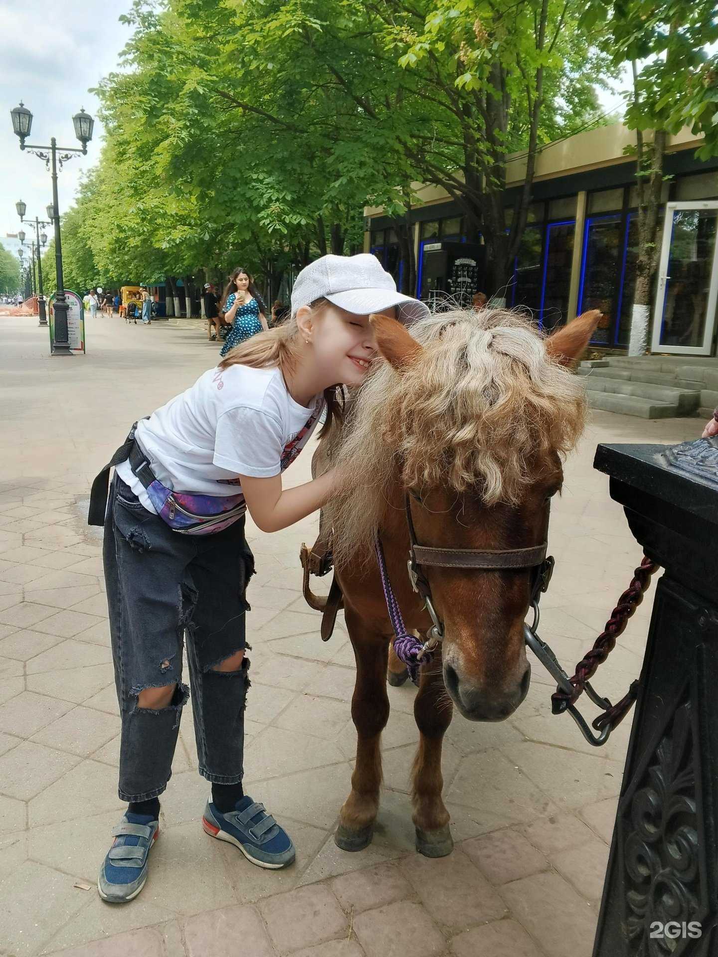 Отзывы на компанию Сказка в г. Ростов-на-Дону c фото