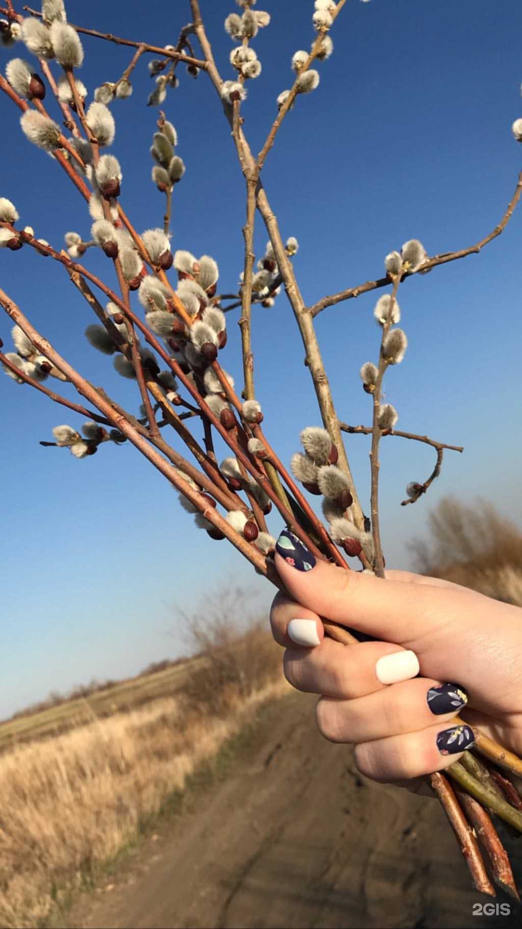 Отзывы на компанию Школа-студия маникюра и подологии в г. Оренбург c фото
