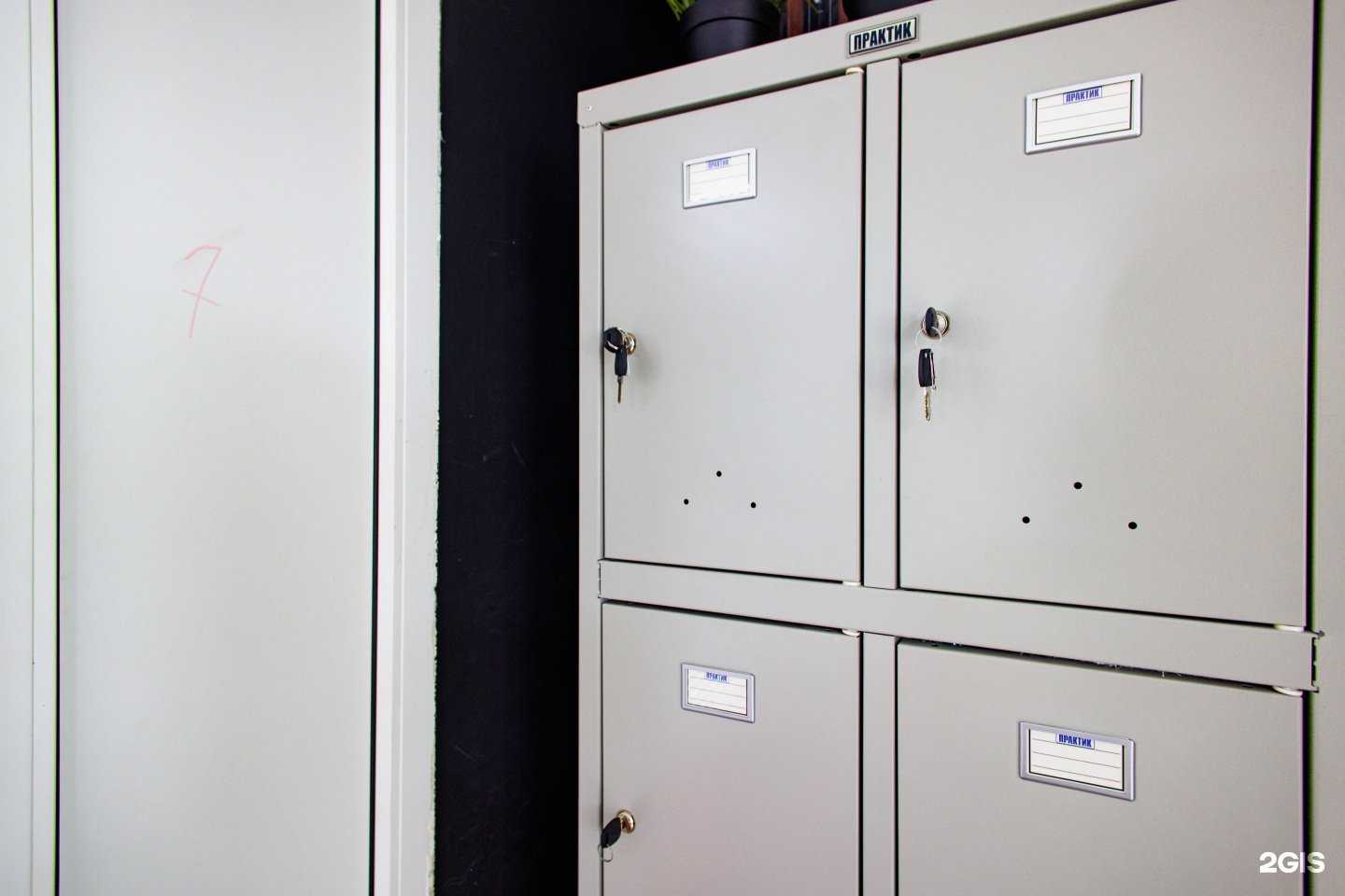 Отзывы на компанию Studyca в г. Владимир c фото