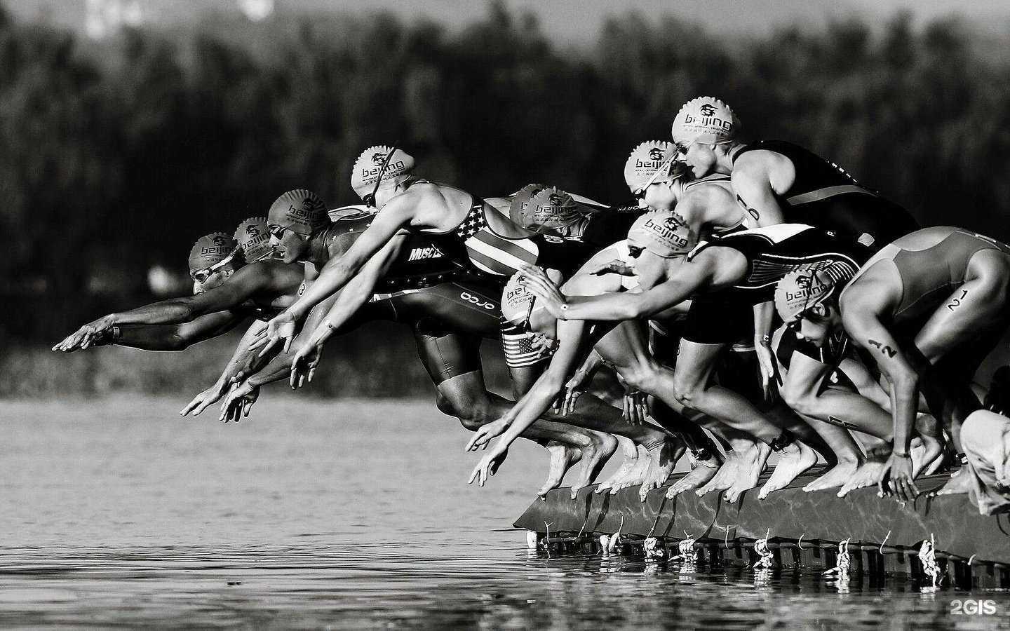 Отзывы на компанию Trikids в г. Ростов-на-Дону c фото