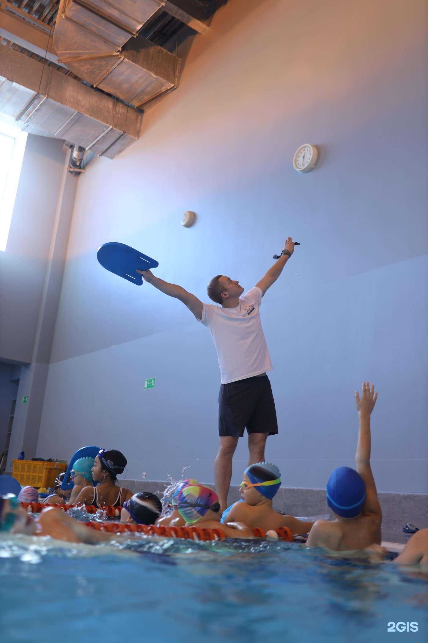 Отзывы на компанию Остров чемпионов в г. Владивосток c фото