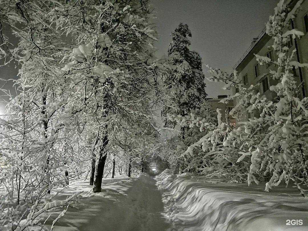 Отзывы на компанию Жемчужина в Димитровграде c фото