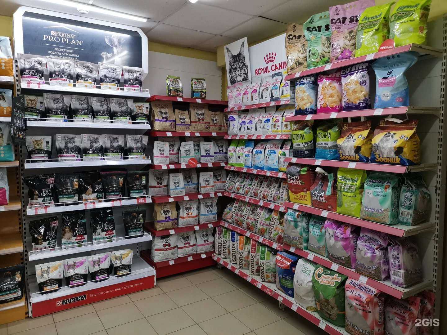 Отзывы на компанию Зверополис в Смоленске c фото