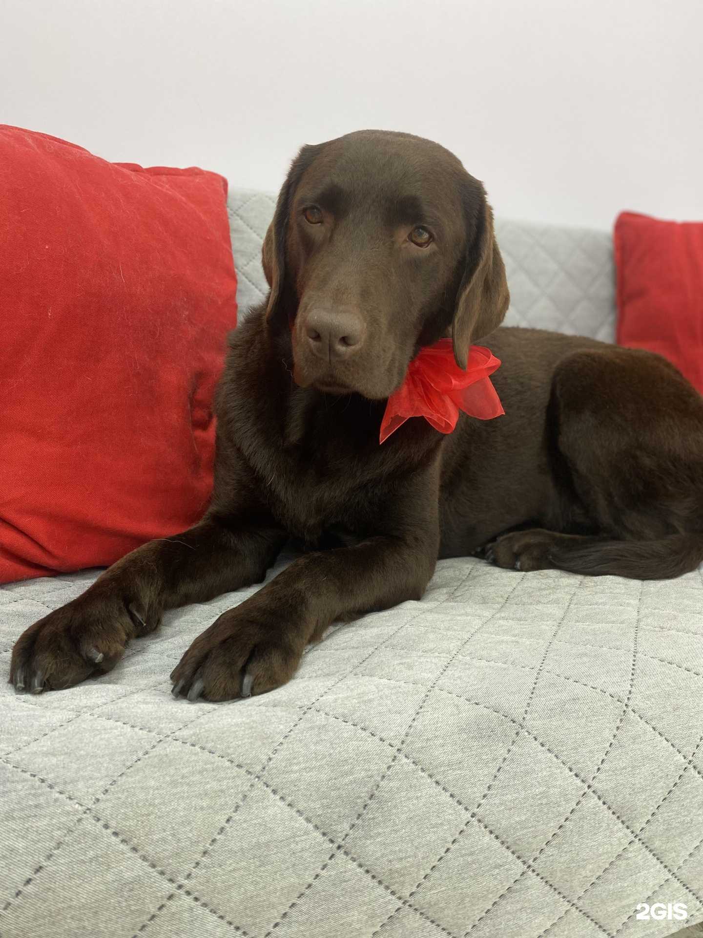 Отзывы на компанию Barboss в Геленджике c фото