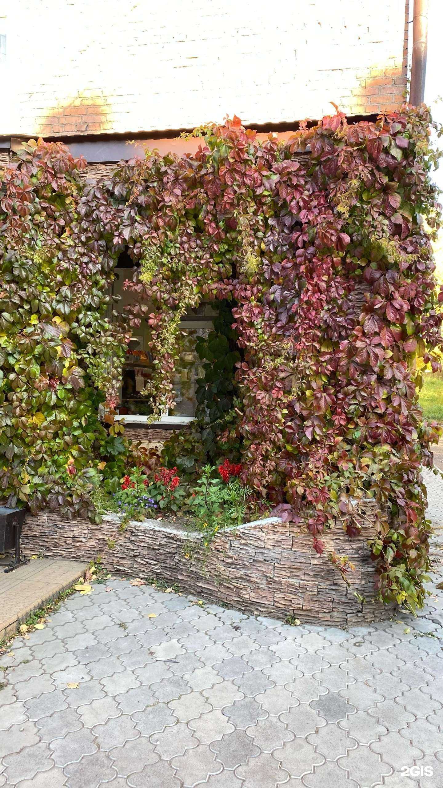 Отзывы на компанию Томат в г. Улан-Удэ c фото