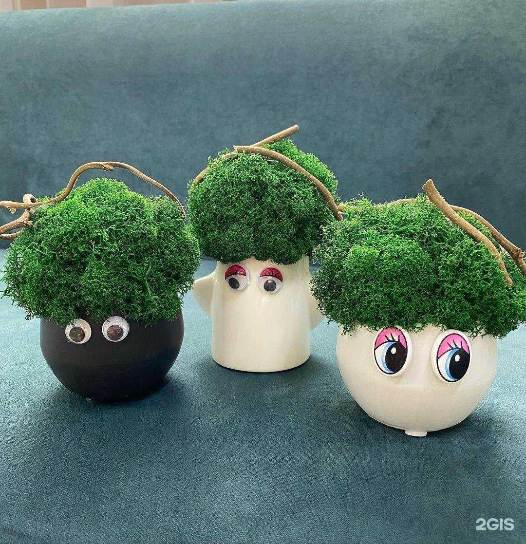 Отзывы на компанию Ботаника в Новокузнецке c фото