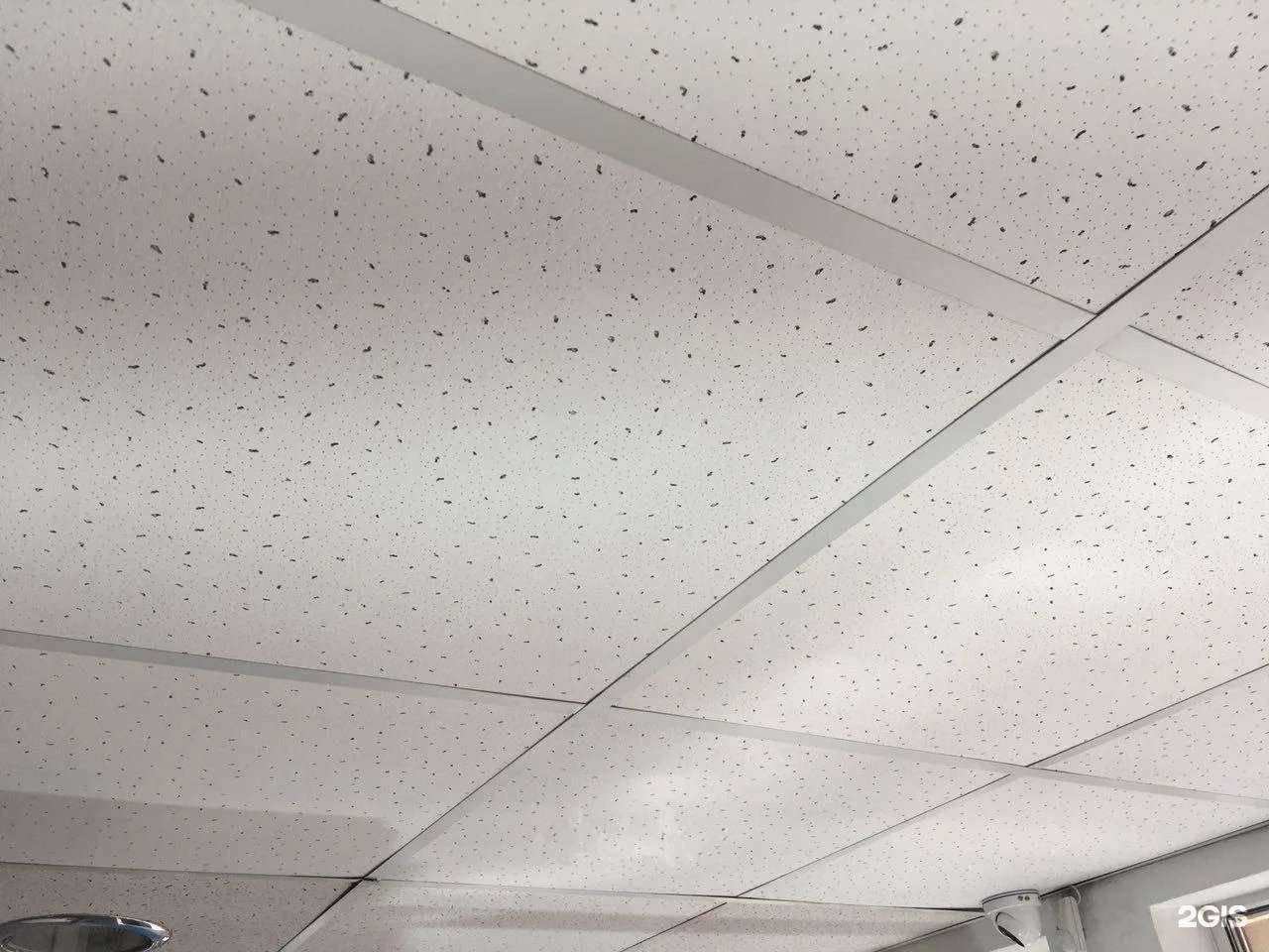 Отзывы на компанию Бастион в г. Брянск c фото