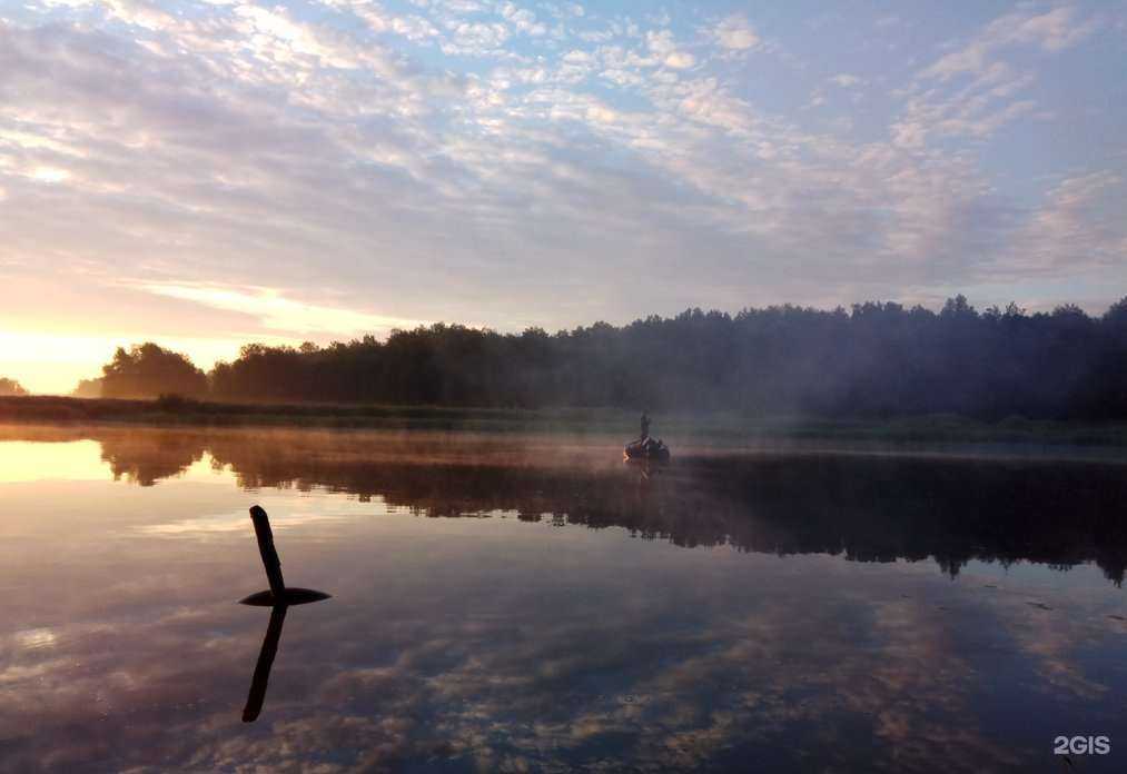 Отзывы на компанию Товарищ Румпель в г. Отрадное c фото