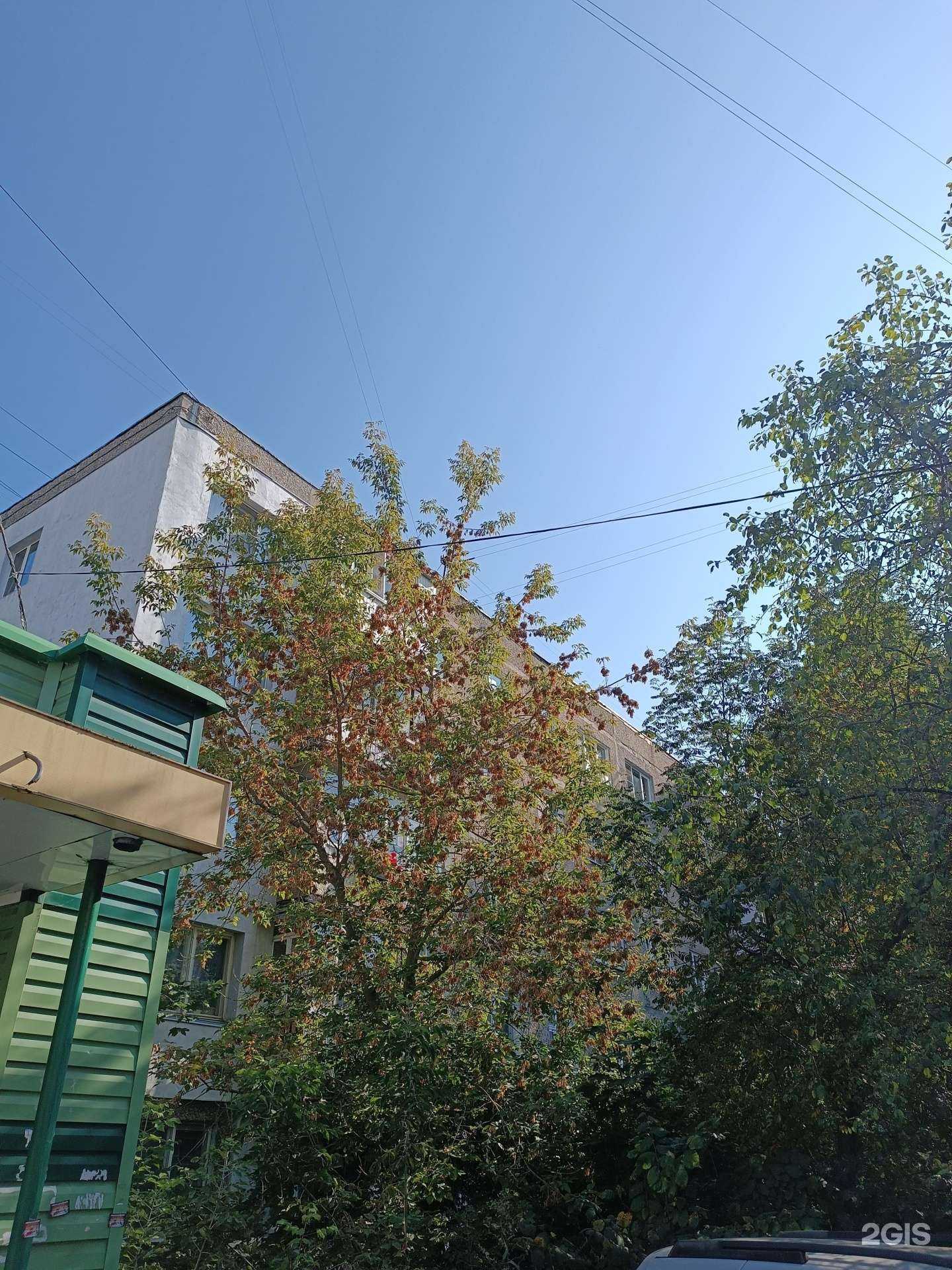 Отзывы на компанию Штат в Нижнем Новгороде c фото - фотография 2 из 2