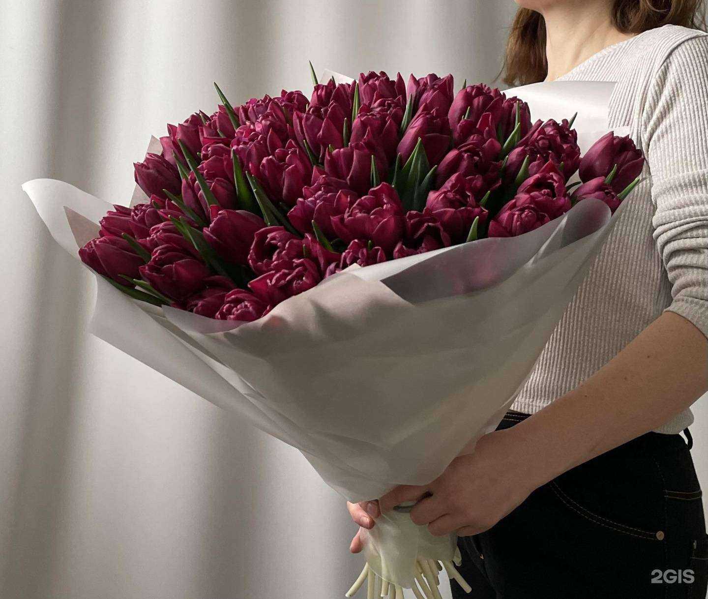 Отзывы на компанию Юкка в г. Калининград c фото