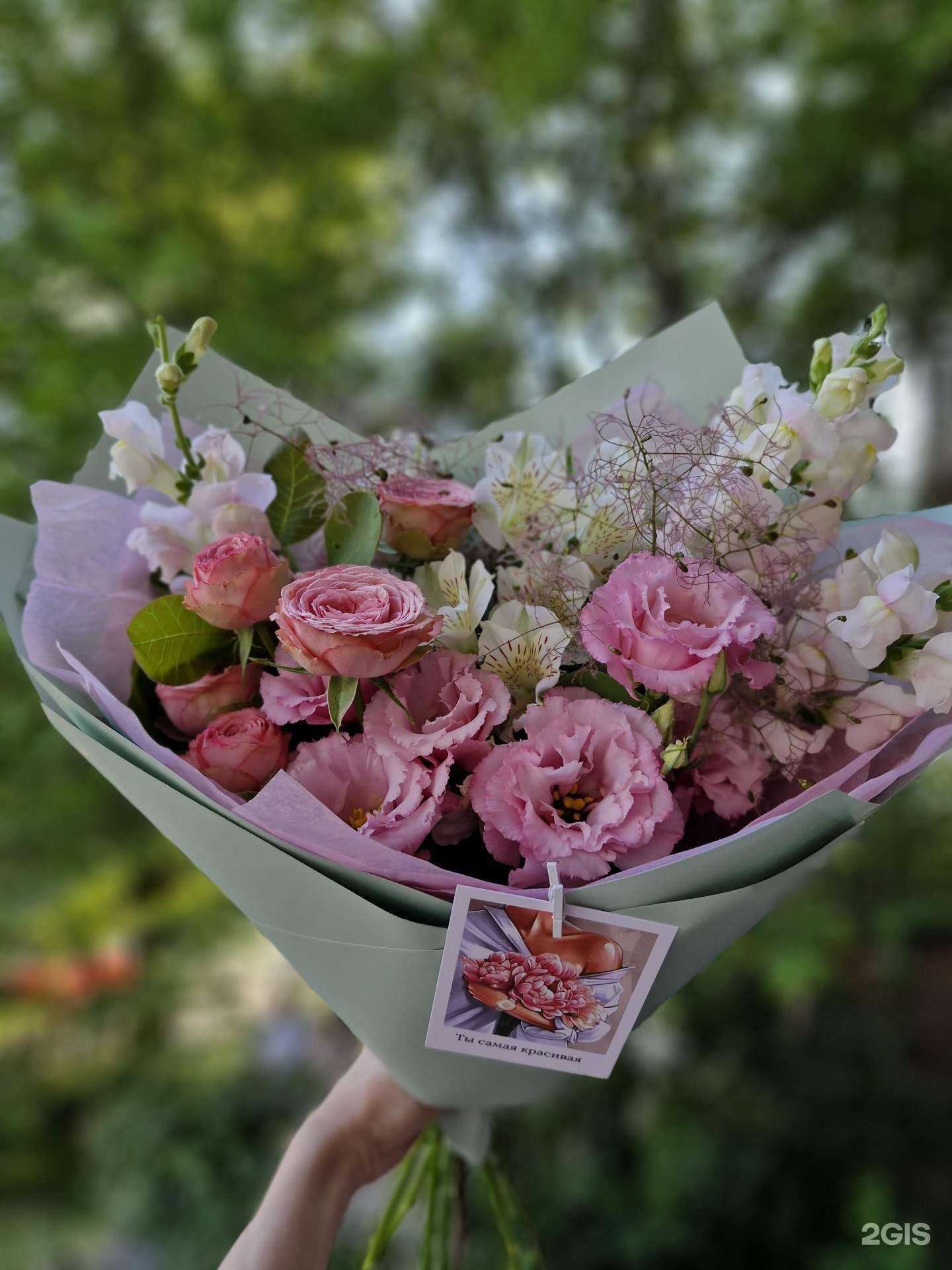 Отзывы на компанию Эйфория в Краснодаре c фото