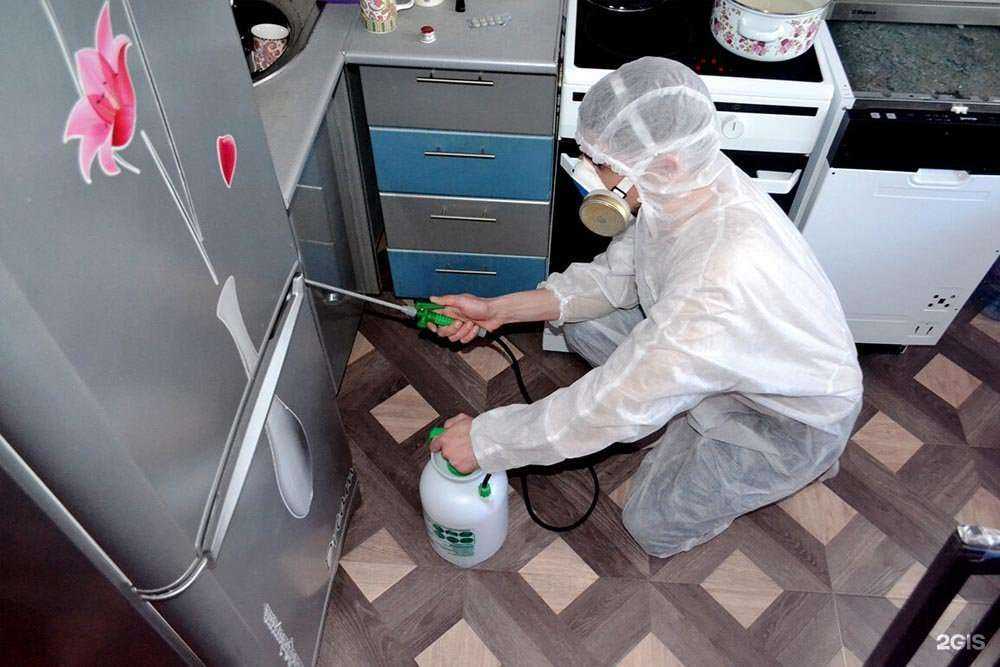 Отзывы на компанию Центр дезинфекции в г. Оренбург c фото