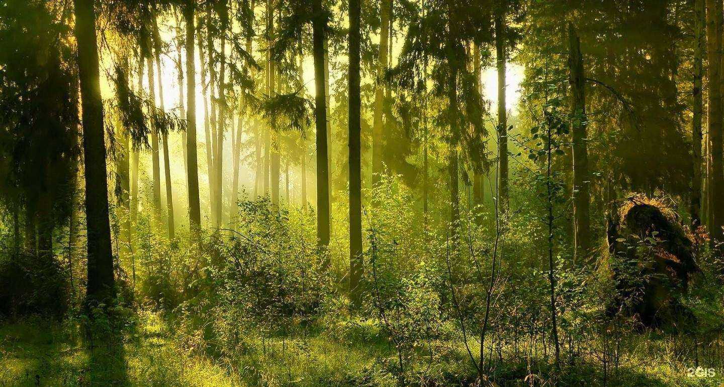 Отзывы на компанию Орешка в Челябинске c фото