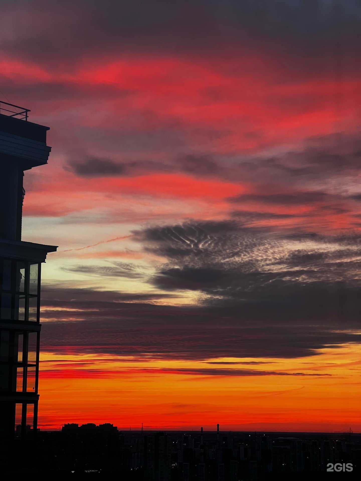 Отзывы на компанию Colizeum в Сургуте c фото - фотография 2 из 2