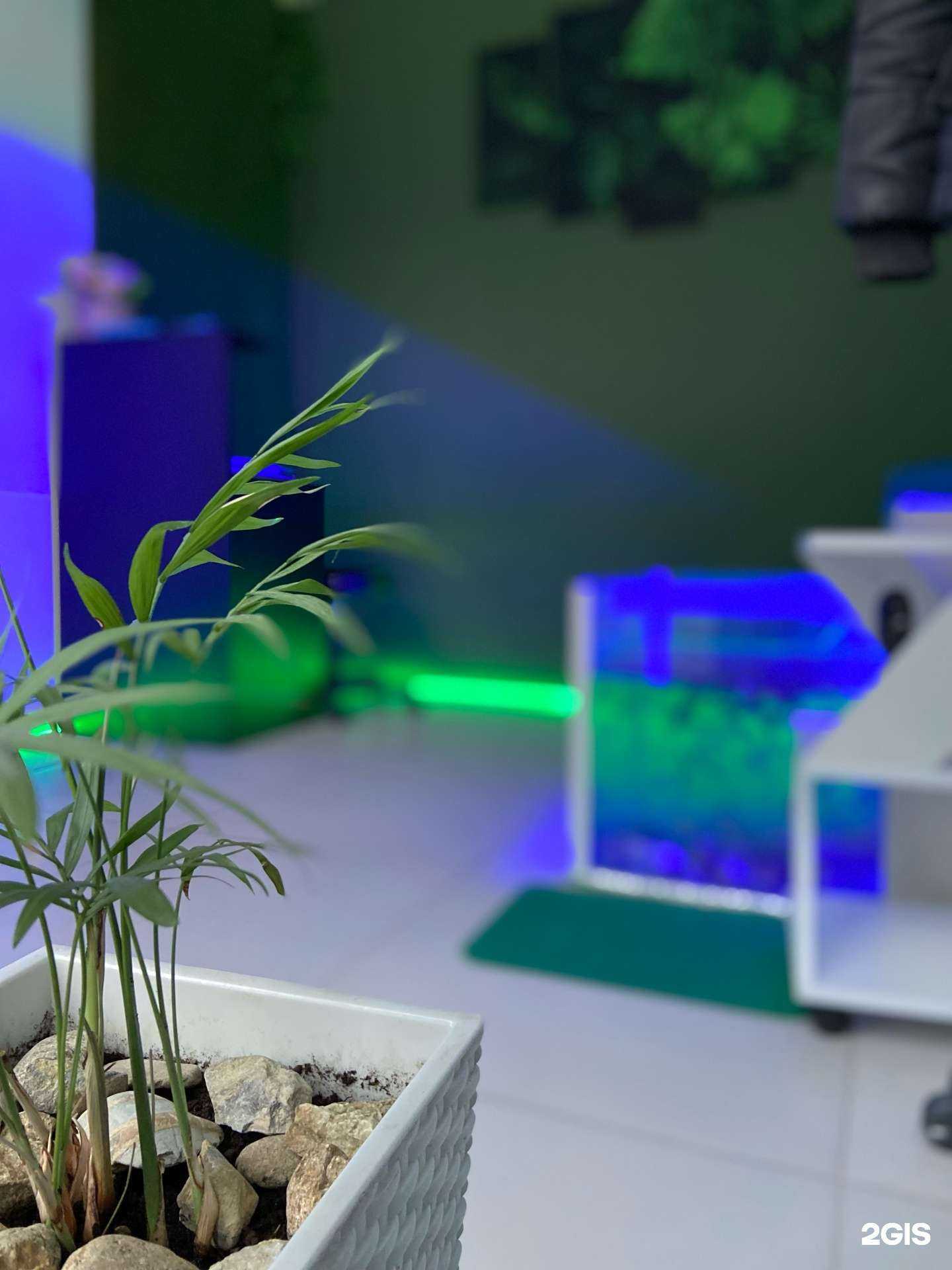 Отзывы на компанию spa&room в Краснодаре c фото