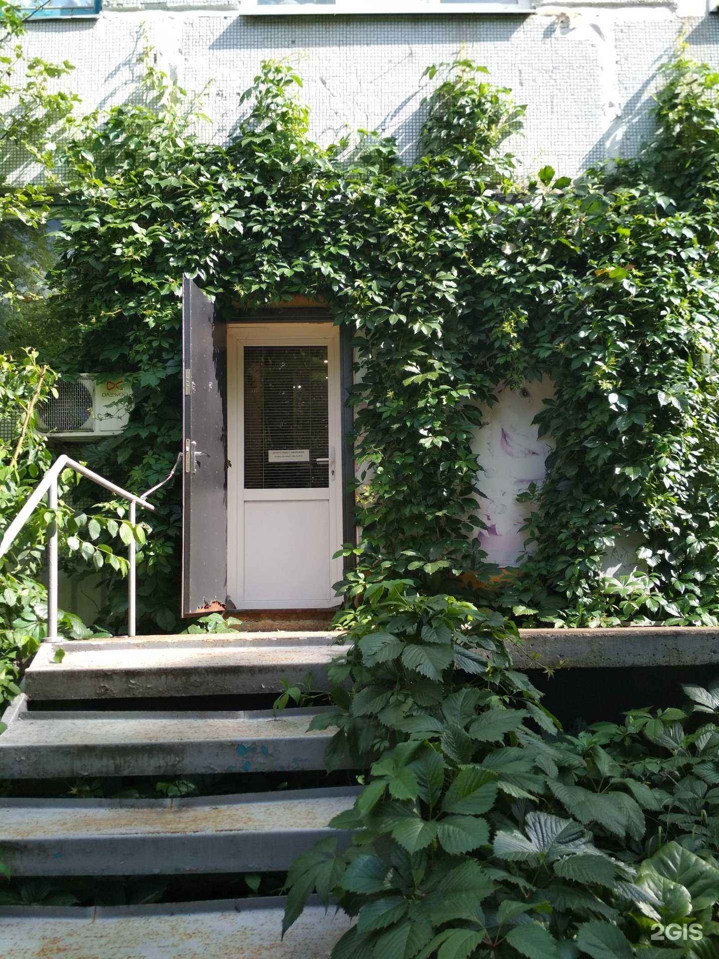 Отзывы на компанию Ромашка в Пензе c фото