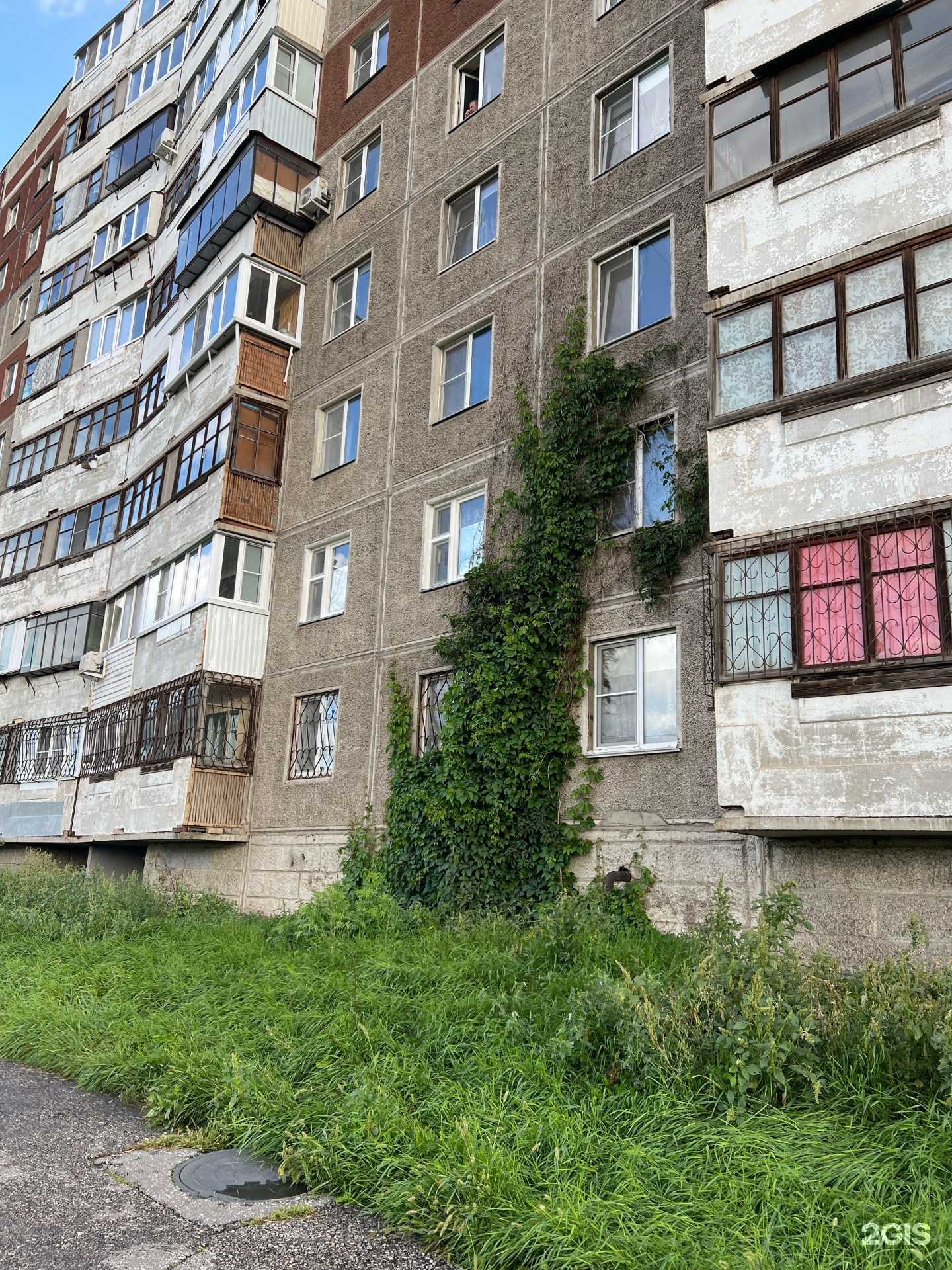 Отзывы на компанию КУДО ММА в Магнитогорске c фото - фотография 2 из 2