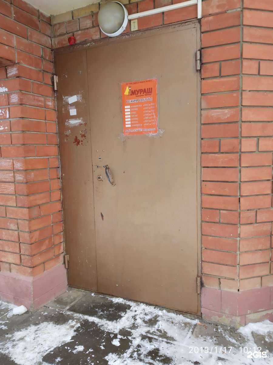 Отзывы на компанию Мураш в г. Тамбов c фото