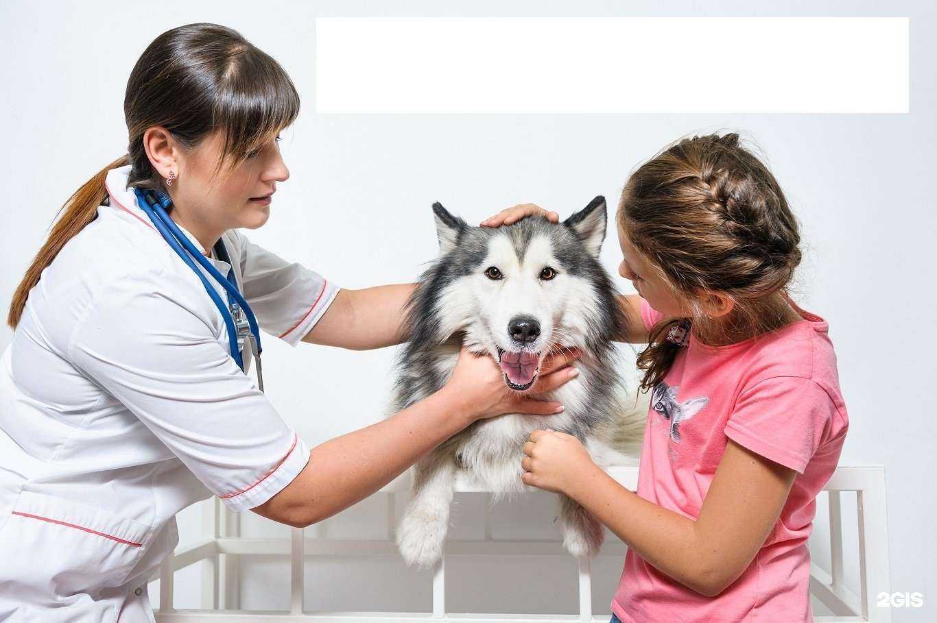 Отзывы на компанию Пульс в г. Волгоград c фото