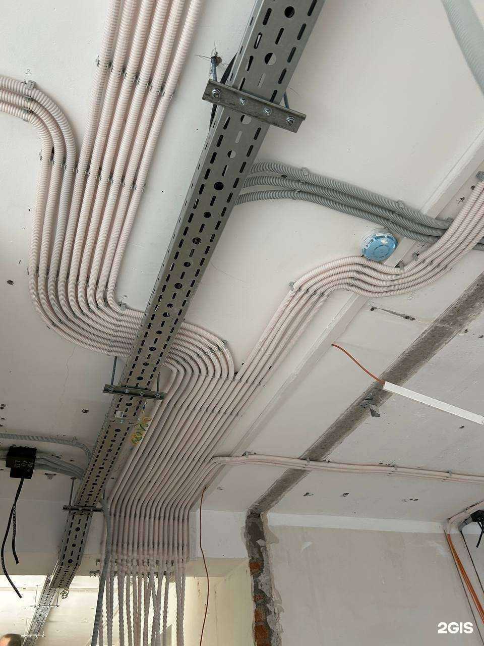 Отзывы на компанию Цереус. Безопасность в г. Красноярск c фото