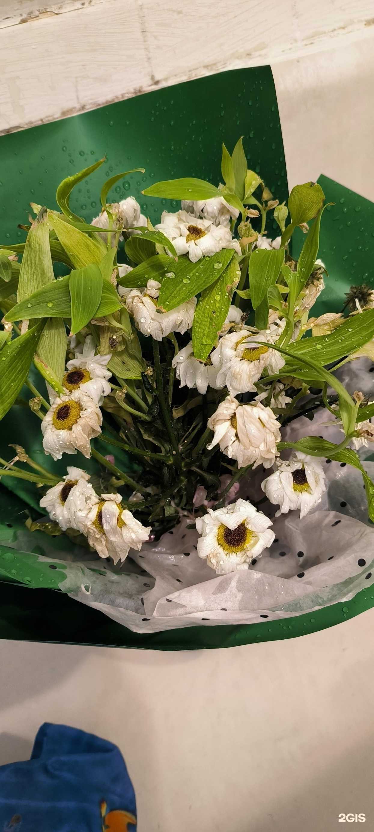 Отзывы на компанию Ромашка в Радужном c фото