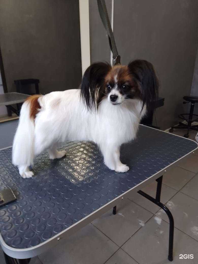 Отзывы на компанию Цацагрум в г. Красноярск c фото