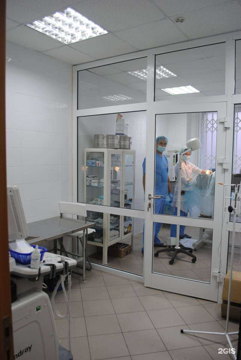 Отзывы на компанию Ветика в Новосибирске c фото