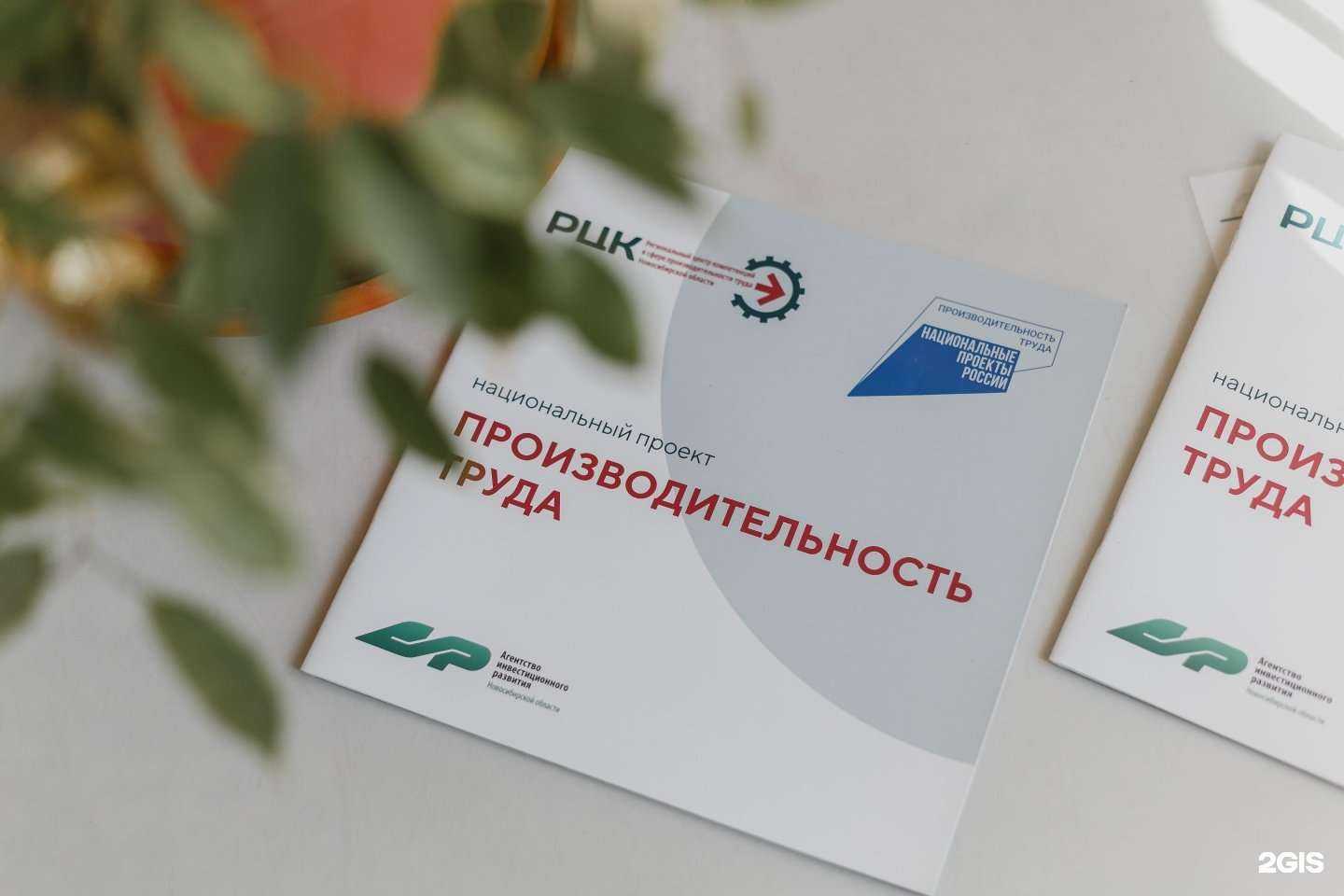 Отзывы на компанию Фабрика процессов в г. Новосибирск c фото