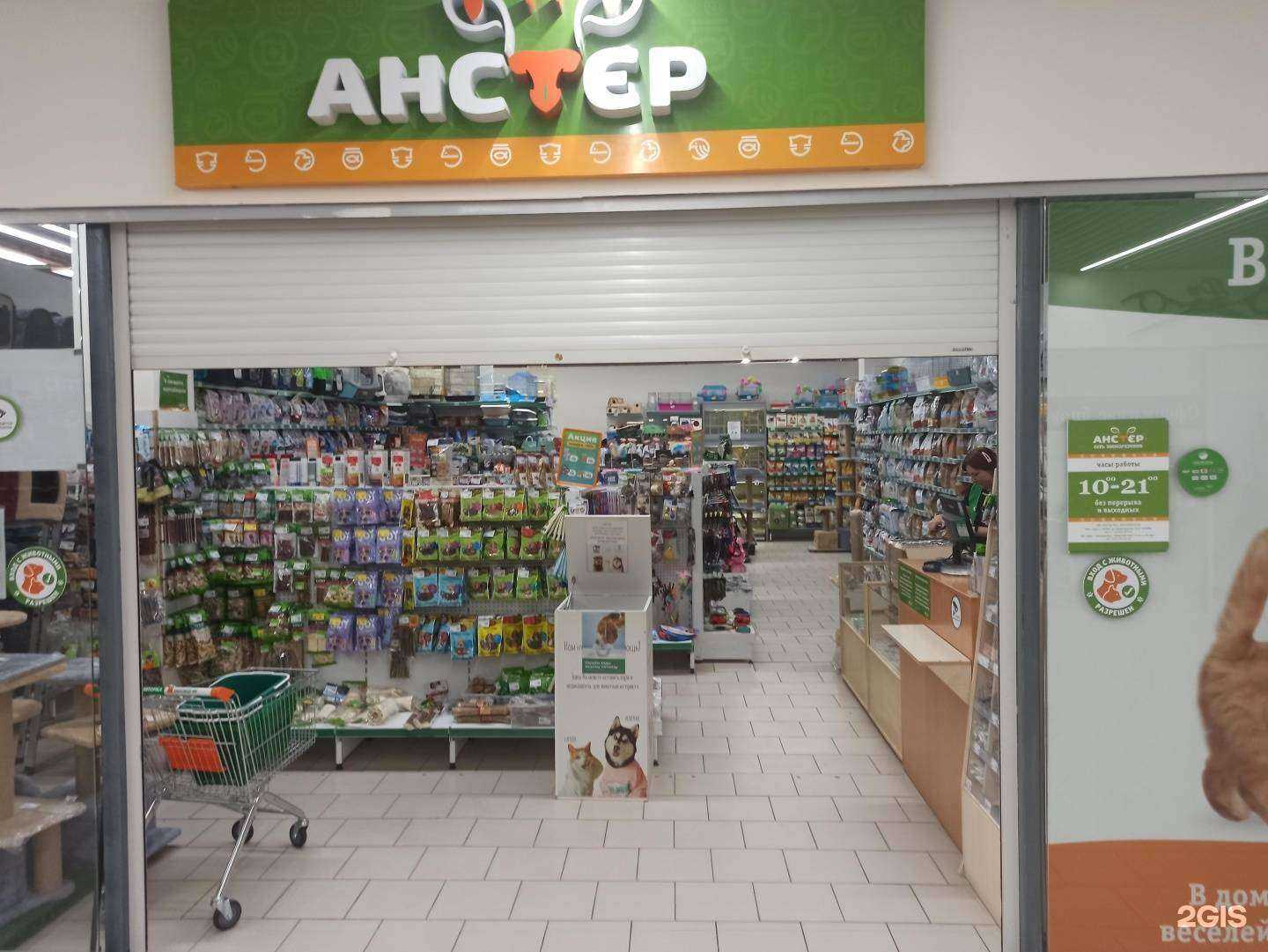 Отзывы на компанию Анстер в Асбесте c фото