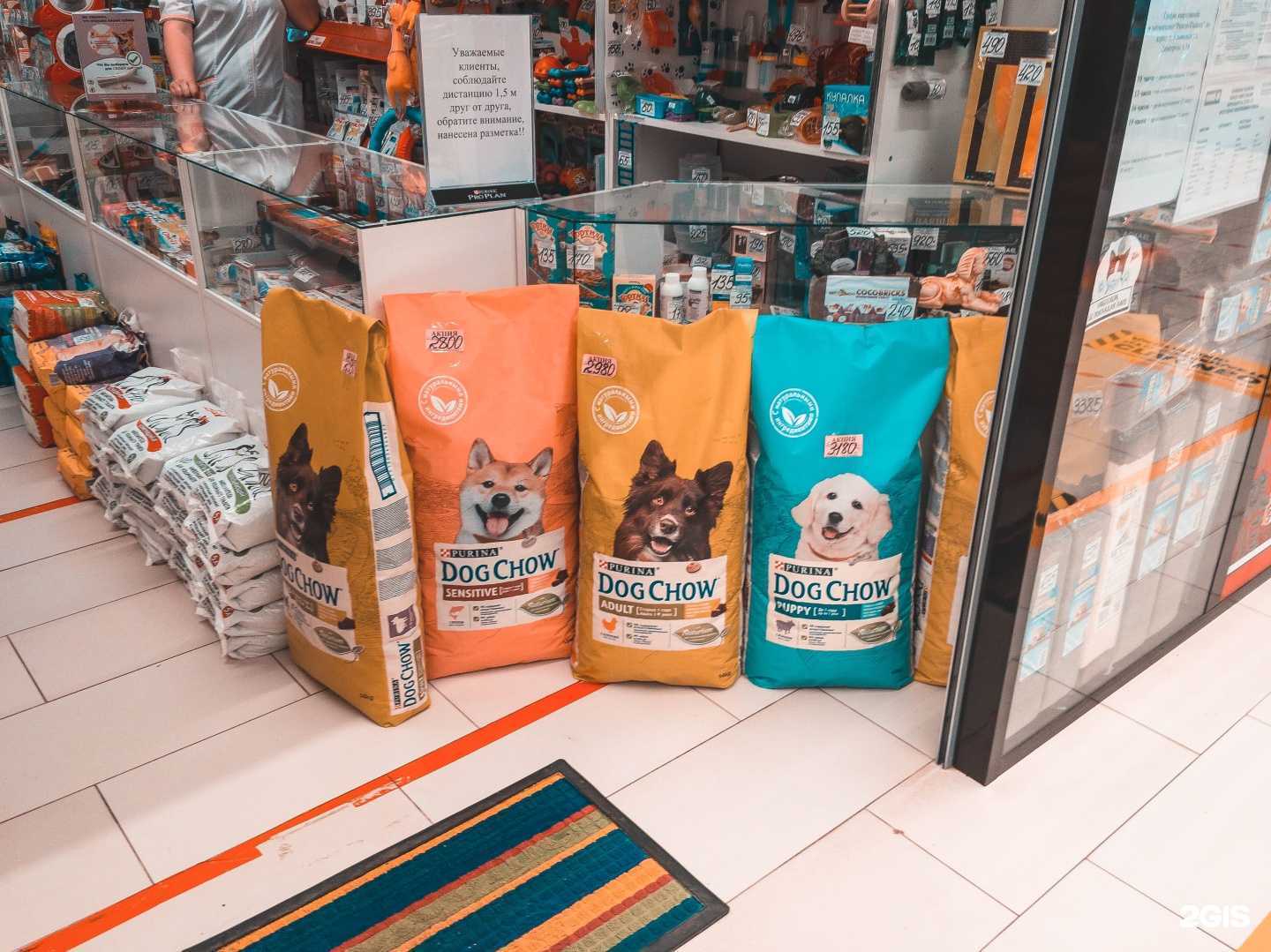 Отзывы на компанию Рыжик Пыжик в Ульяновске c фото