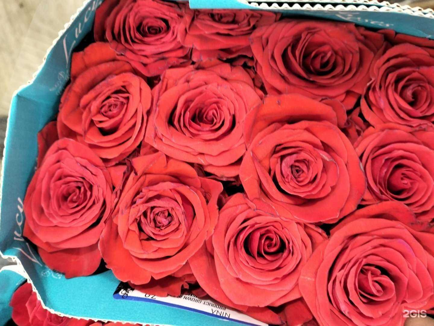 Отзывы на компанию Аленький цветочек в Сургуте c фото