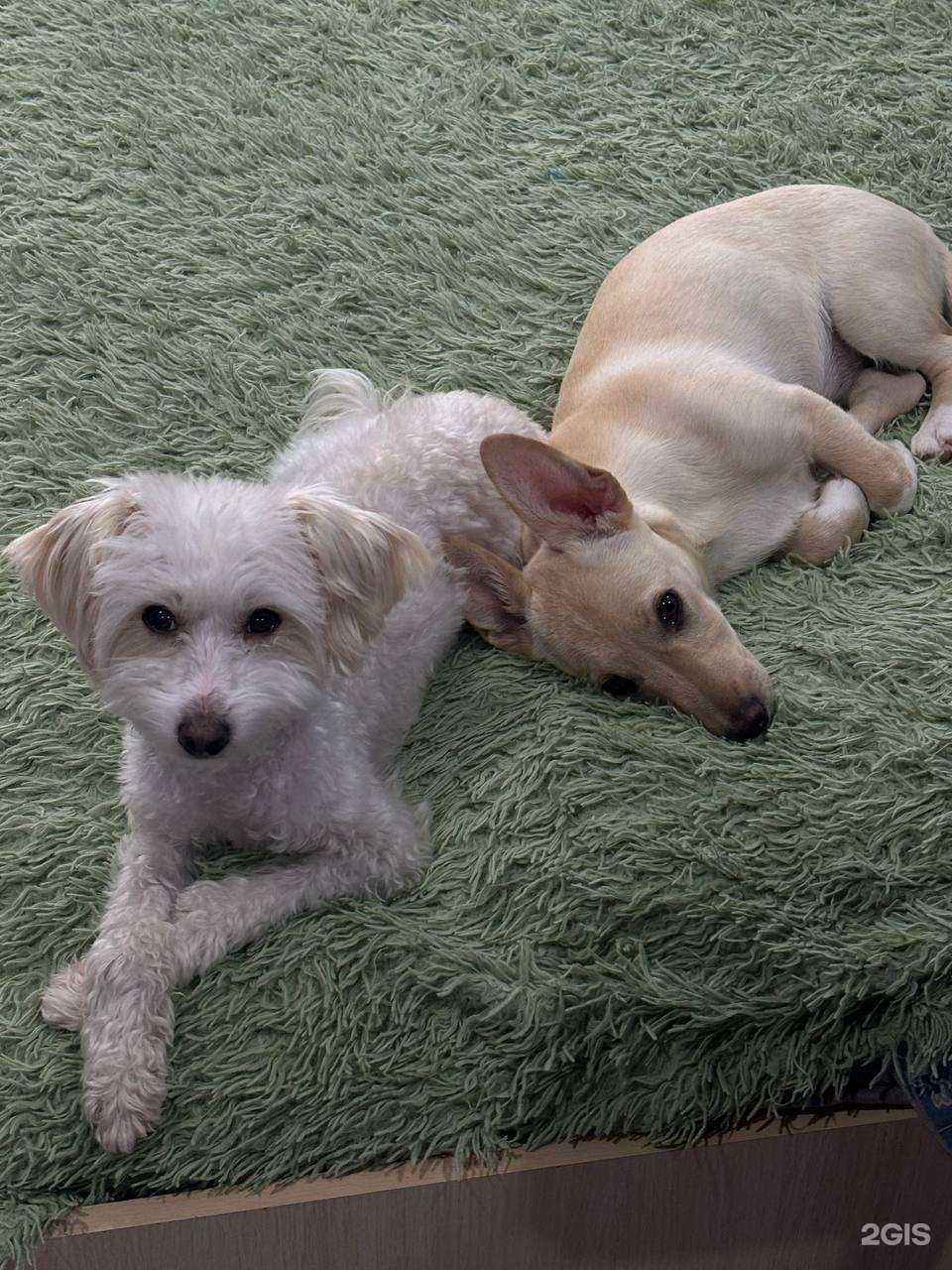 Отзывы на компанию Лаки в г. Казань c фото