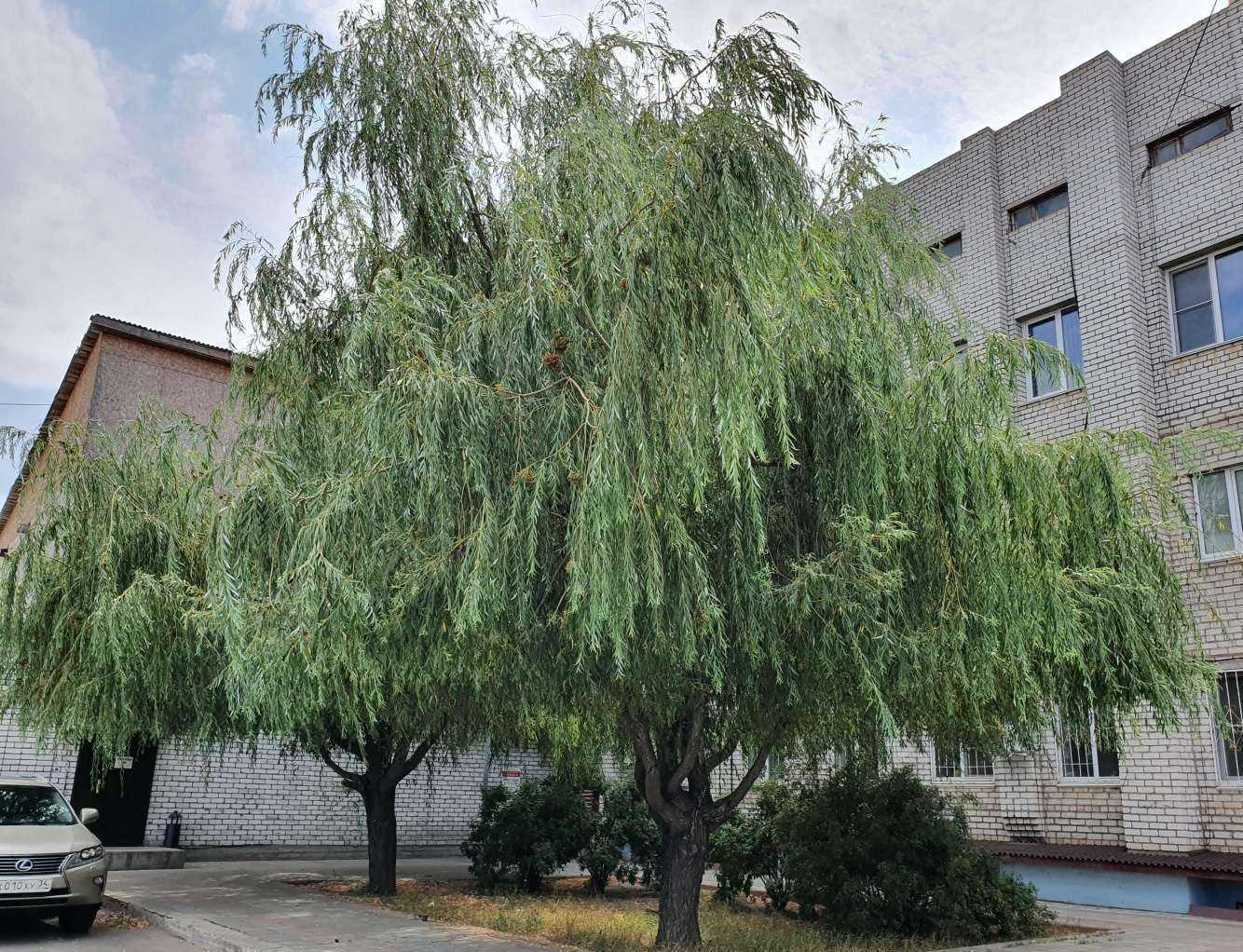 Отзывы на компанию Трансгарант-34 в Волгограде c фото - фотография 2 из 2