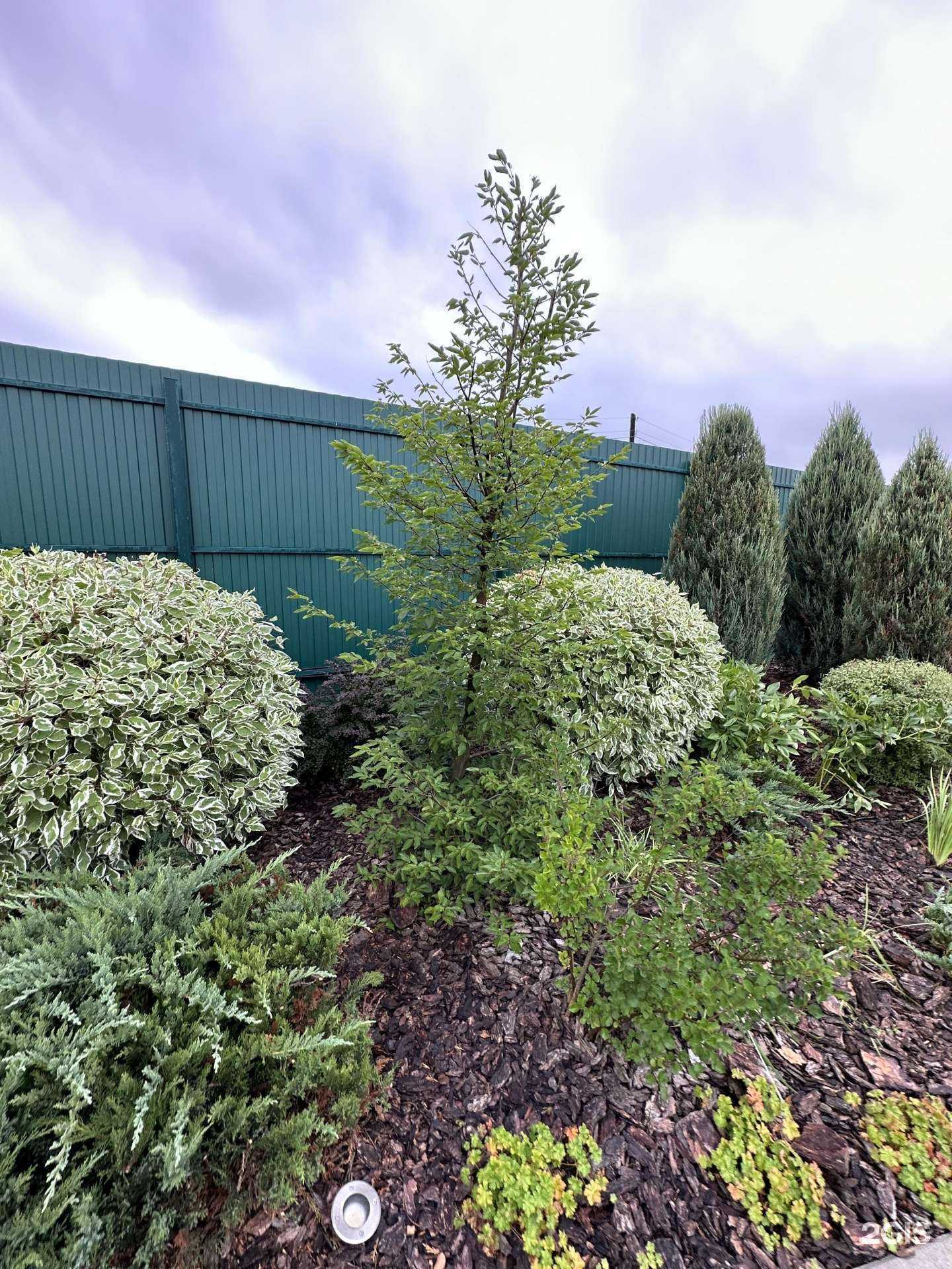 Отзывы на компанию Флоридея в г. Воронеж c фото