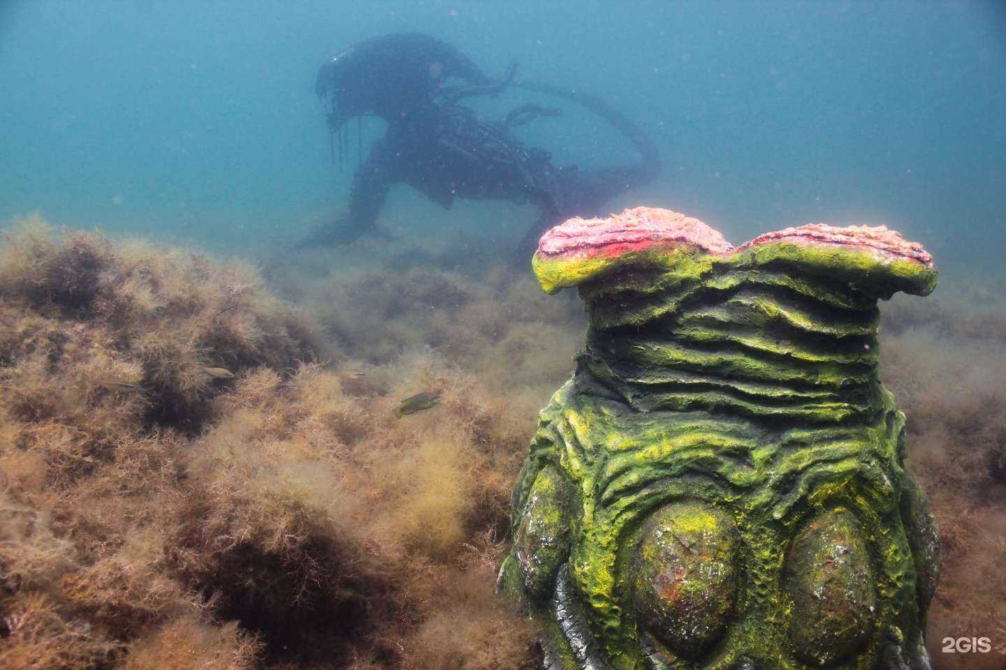 Отзывы на компанию Дискавери в Анапе c фото