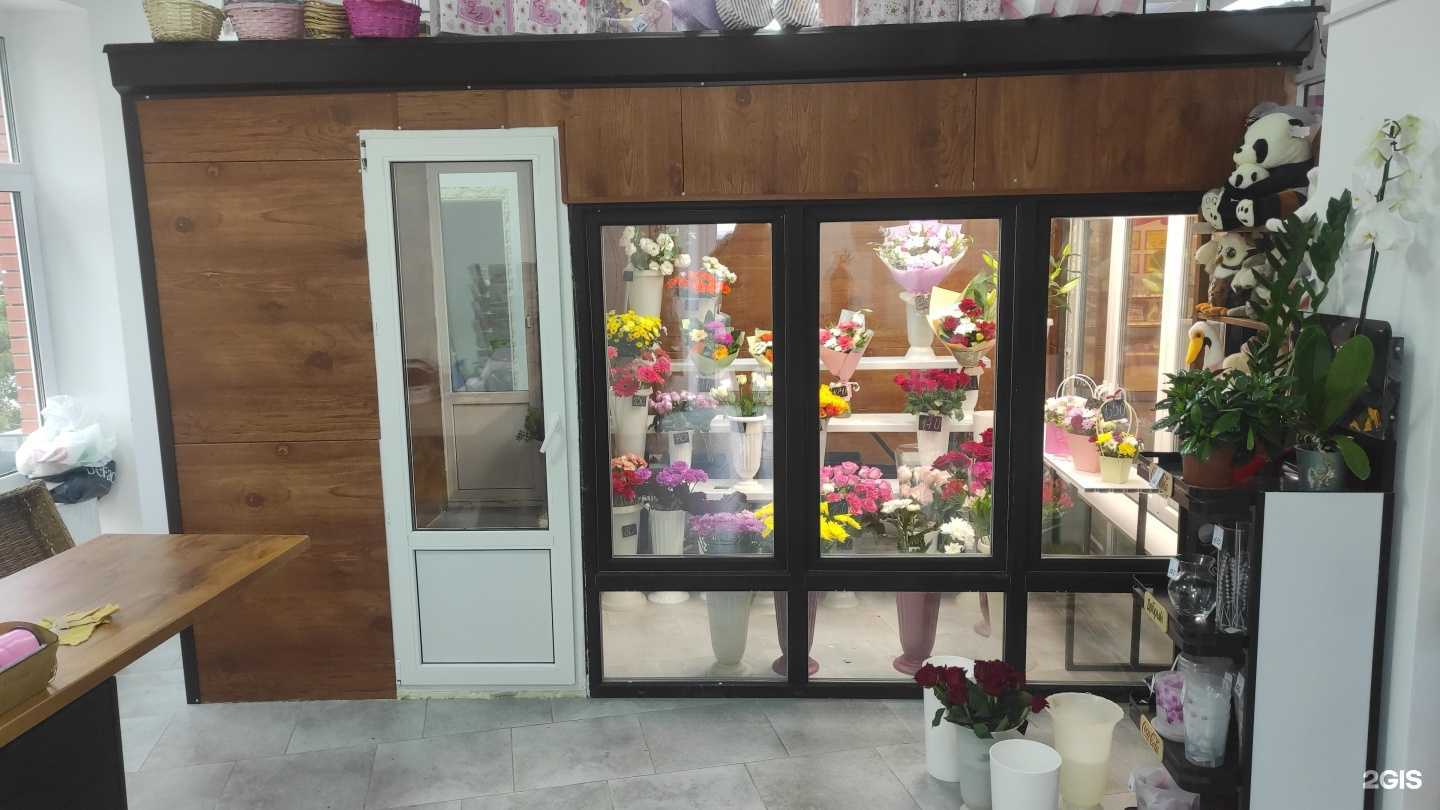 Отзывы на компанию Азалия в г. Владимир c фото