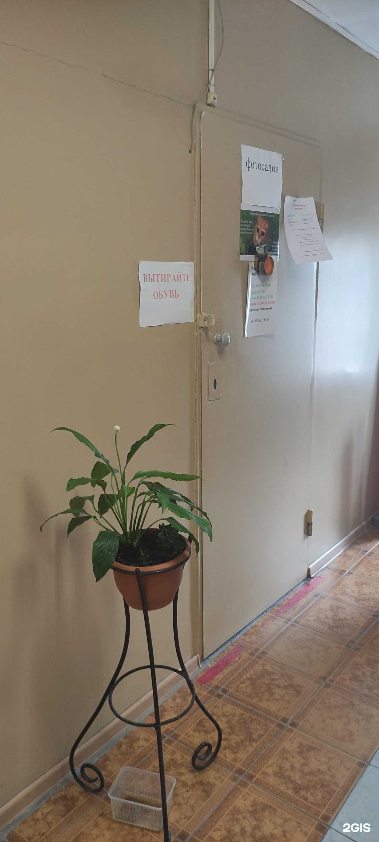 Отзывы на компанию Фотосалон в г. Старый Оскол c фото