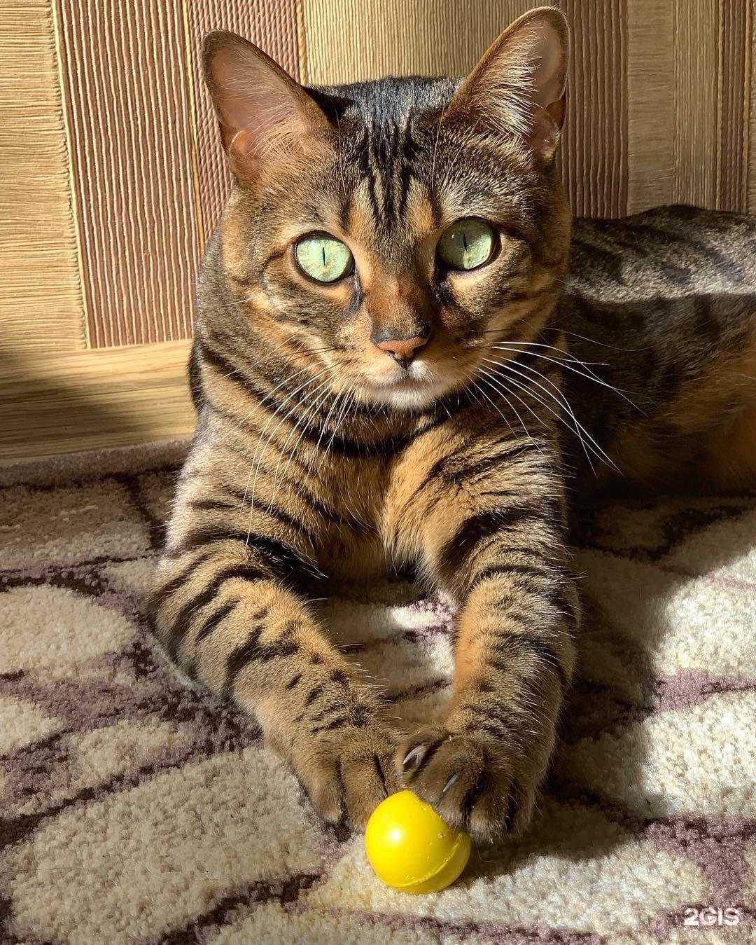 Отзывы на компанию Юниор в Южно-Сахалинске c фото