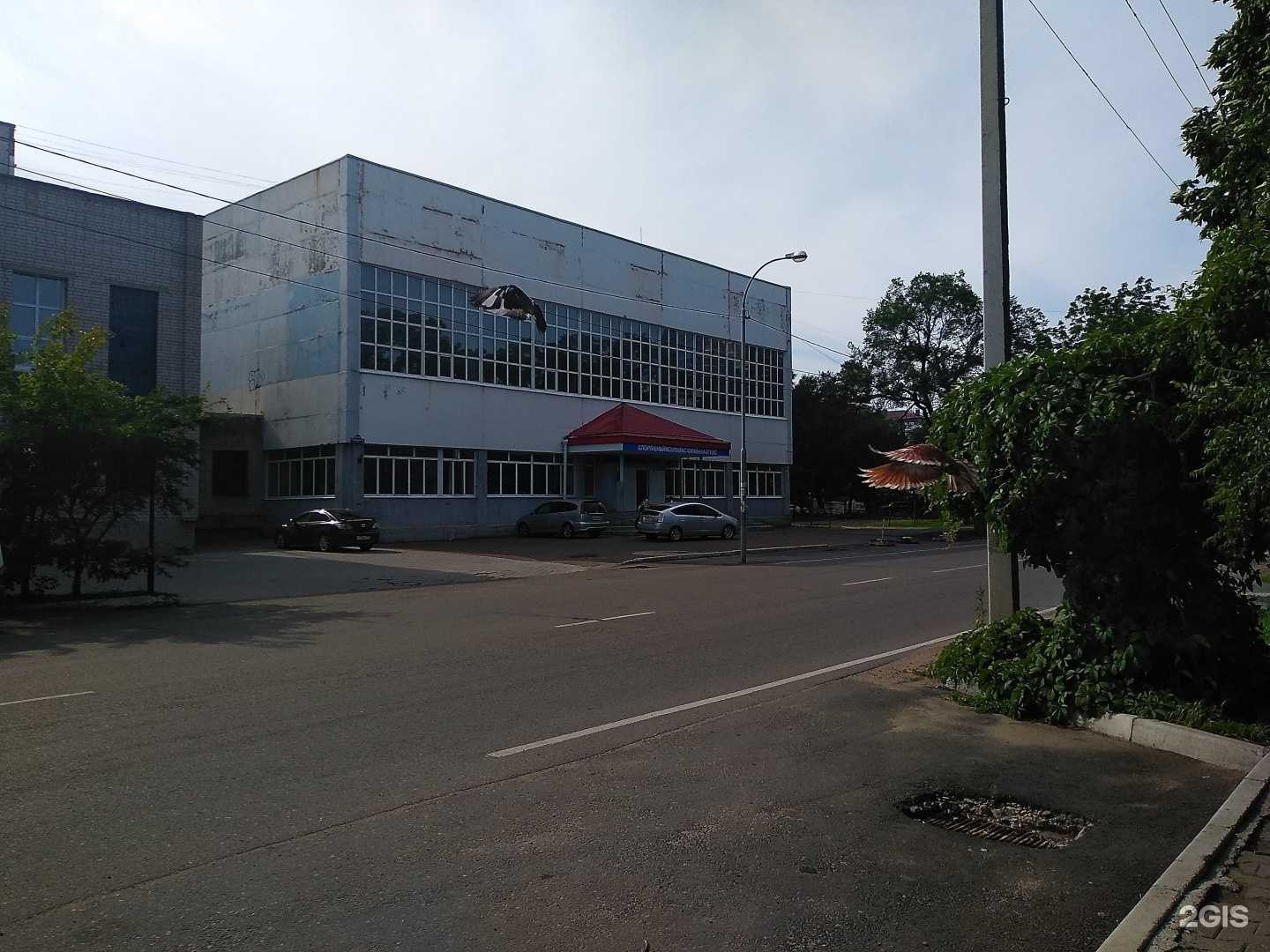 Отзывы на компанию Уссурийская федерация Кудо в Уссурийске c фото