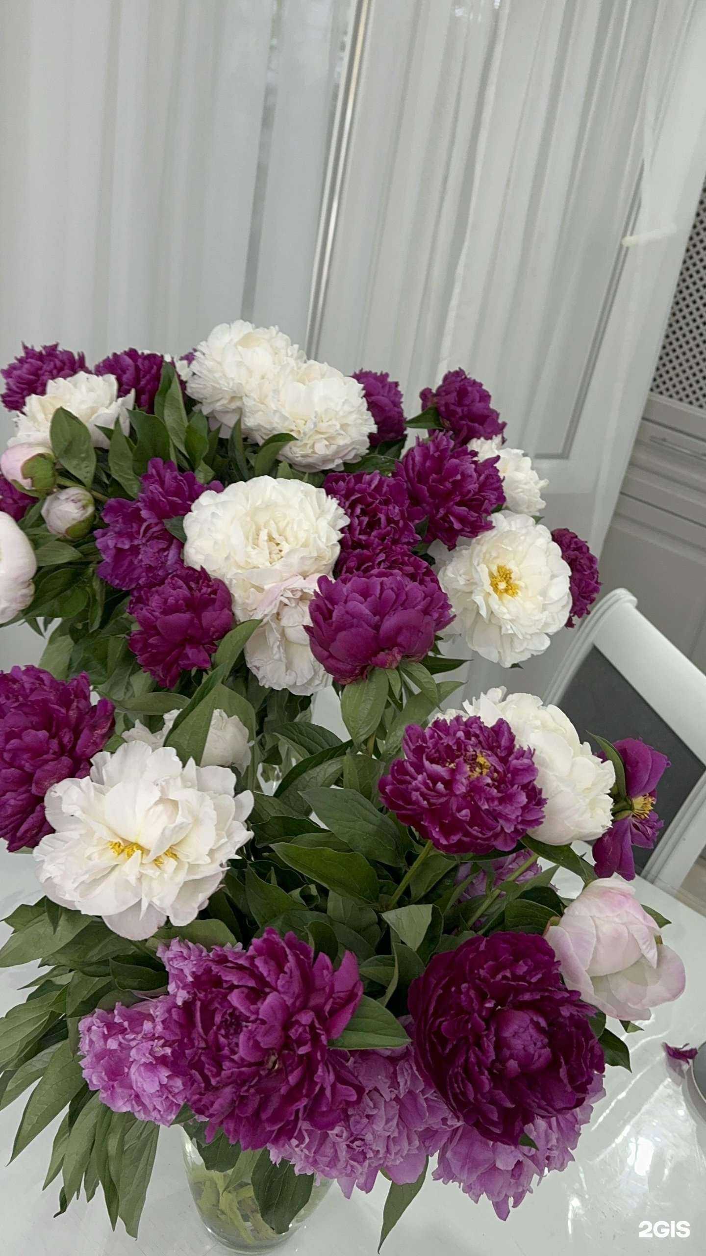 Отзывы на компанию Floral Four в Сочи c фото