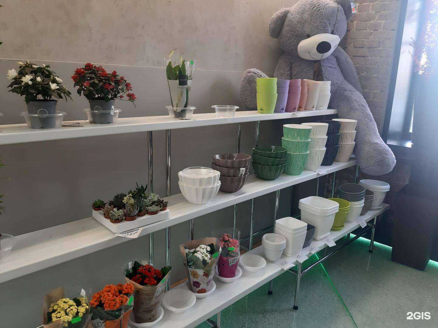 Отзывы на компанию Роскошь Цветов в Перми c фото