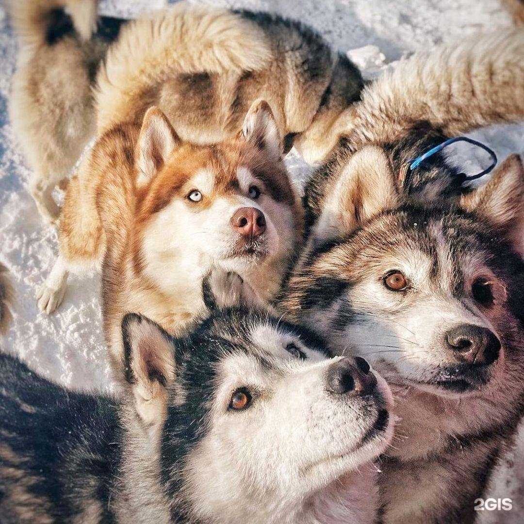 Отзывы на компанию Спортивная школа по техническим видам спорта в Южно-Сахалинске c фото