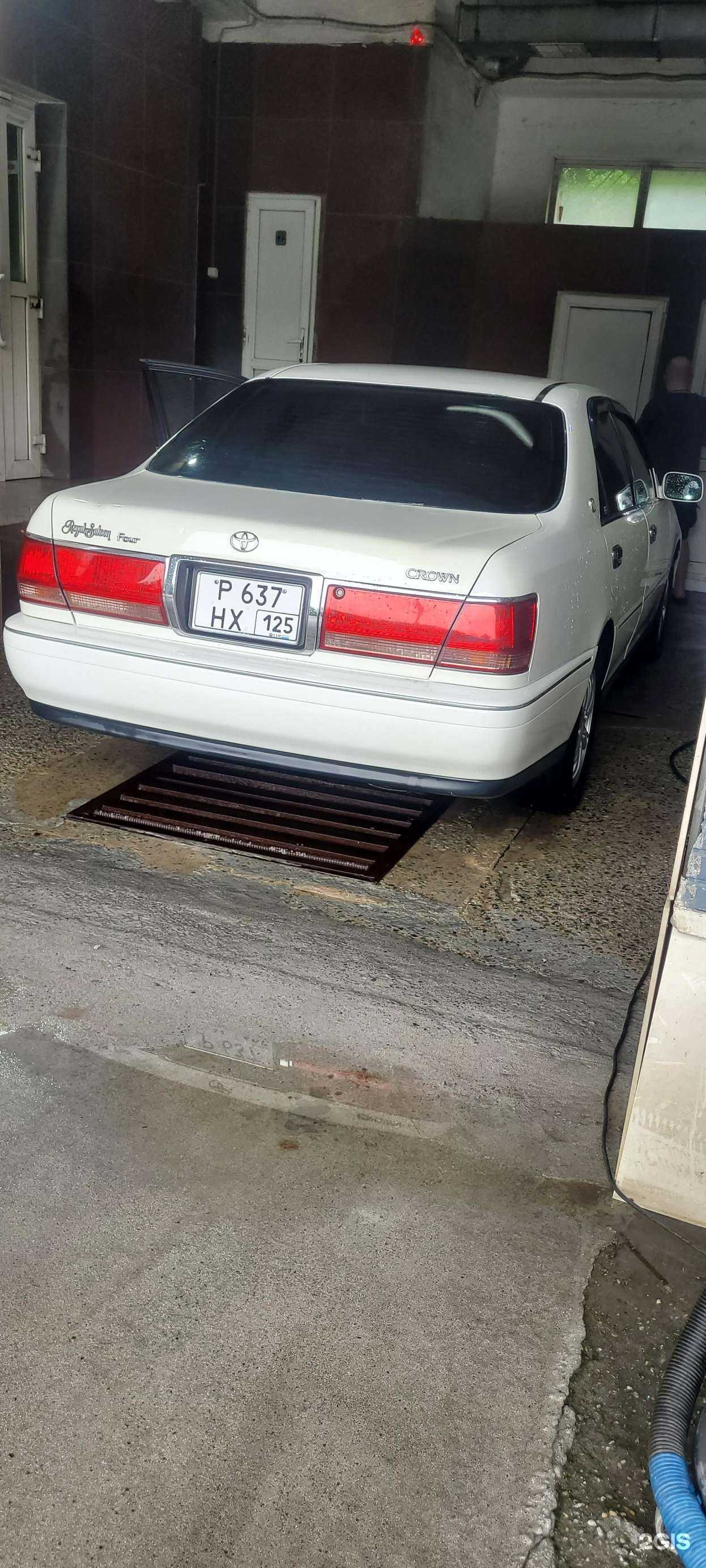 Отзывы на компанию Дельфин в г. Владивосток c фото