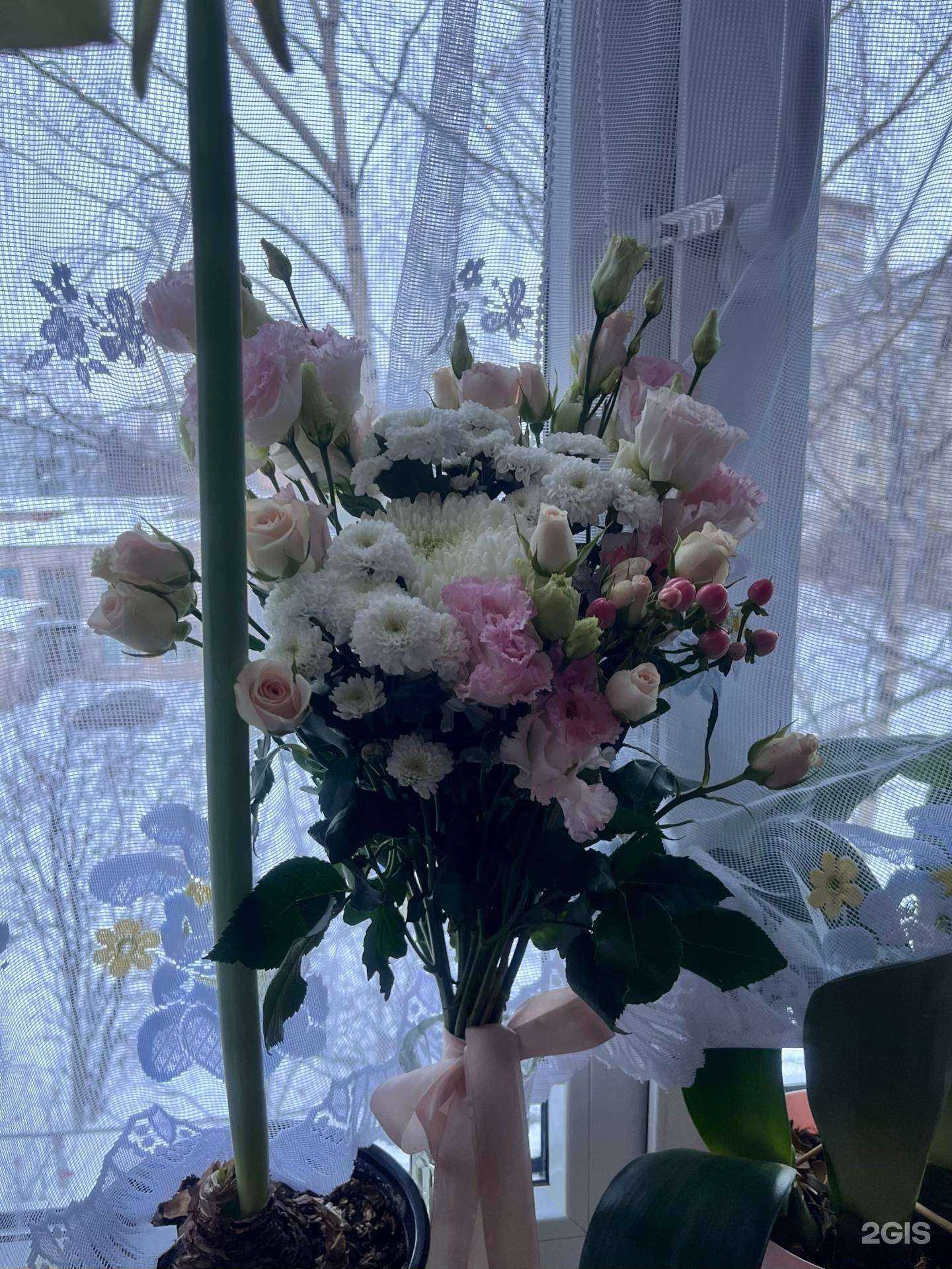 Отзывы на компанию Duty Free and Don бутон в г. Петрозаводск c фото