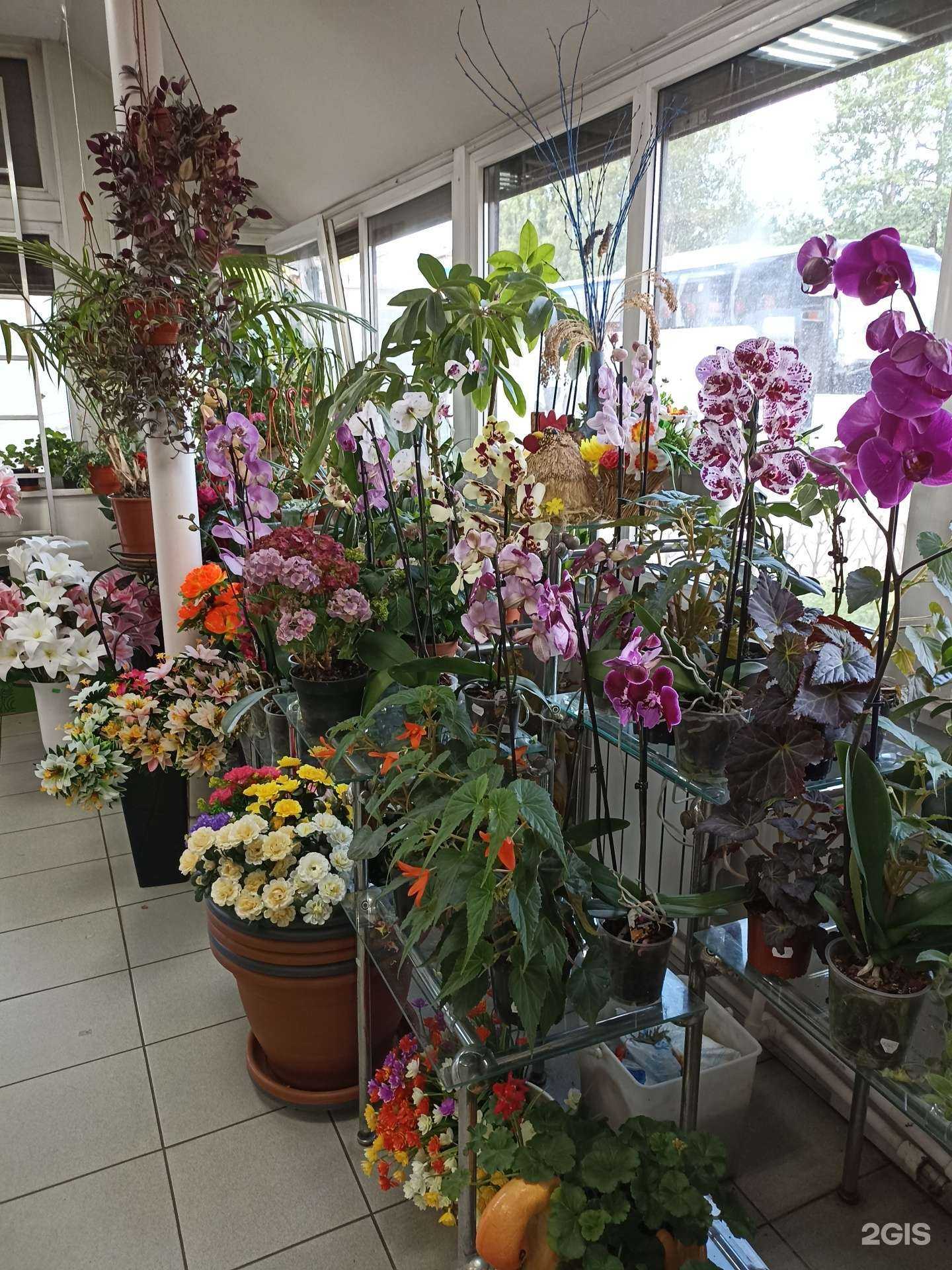 Отзывы на компанию Цветочный магазин в Выборге c фото