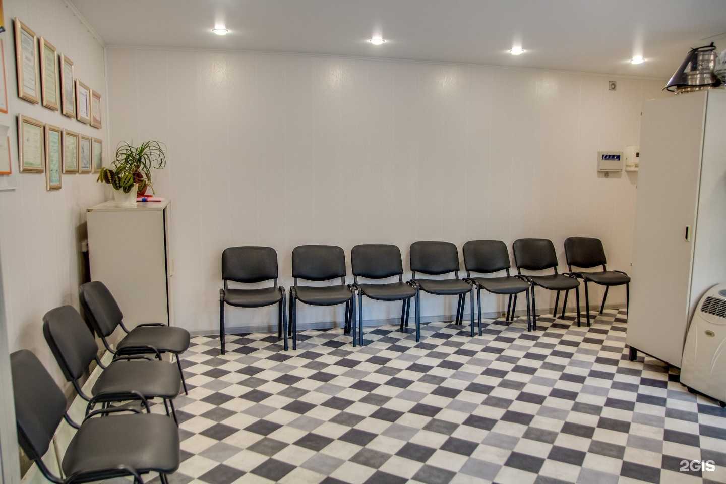 Отзывы на компанию Скорая ветеринарная помощь в Тольятти c фото