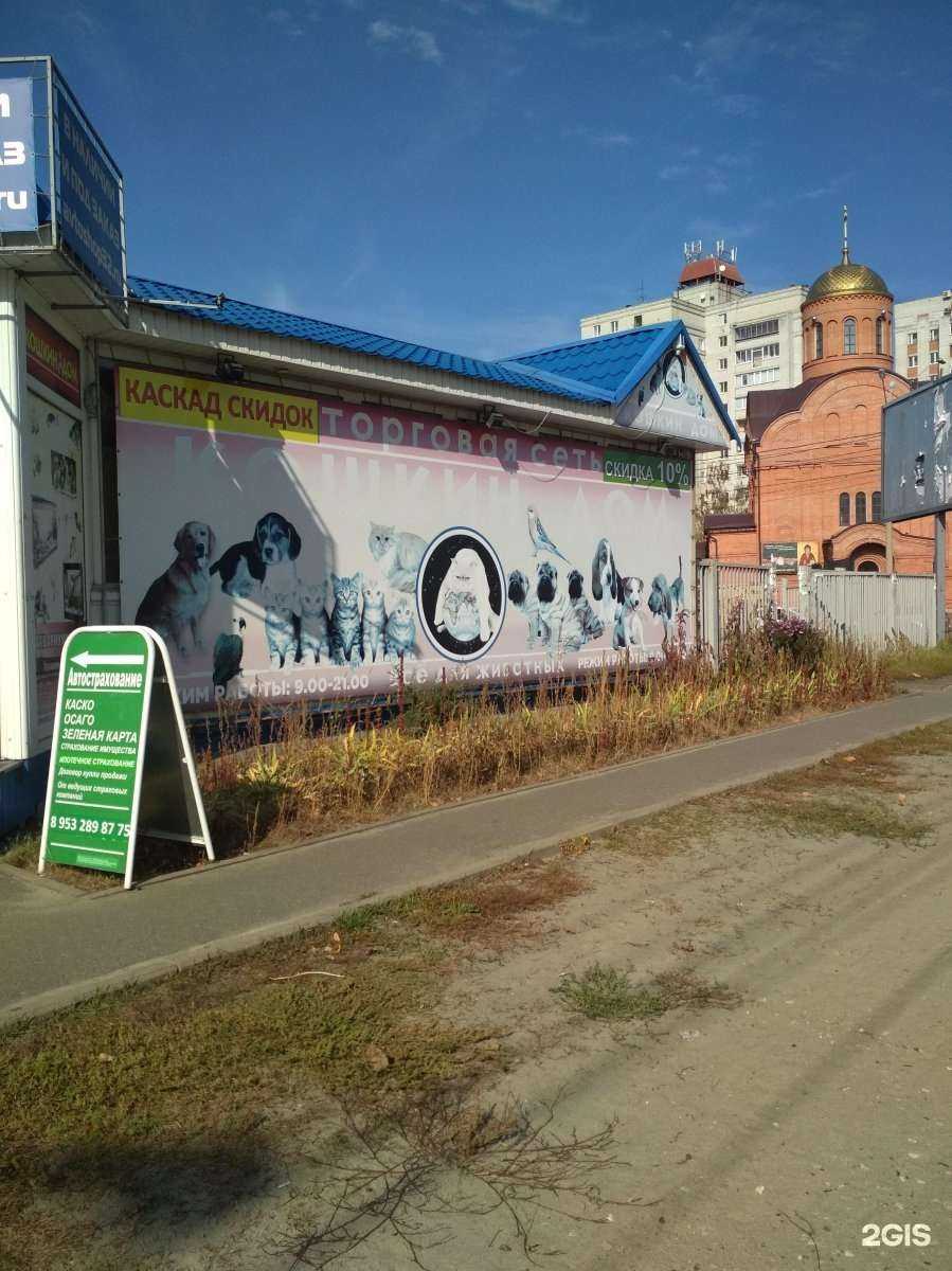 Отзывы на компанию Кошкин дом в Брянске c фото