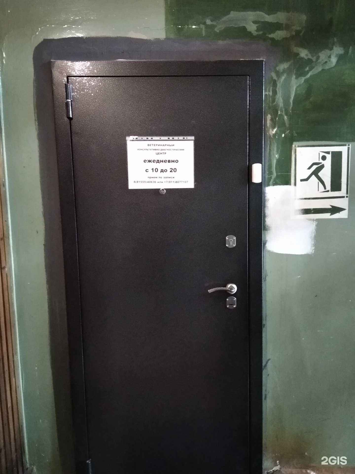 Отзывы на компанию Мой друг в г. Апатиты c фото