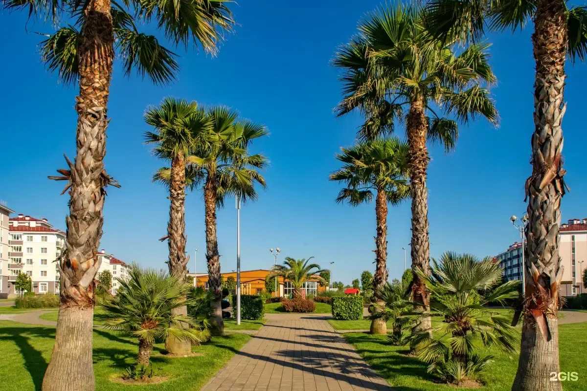 Отзывы на компанию Твоё путешествие в Челябинске c фото